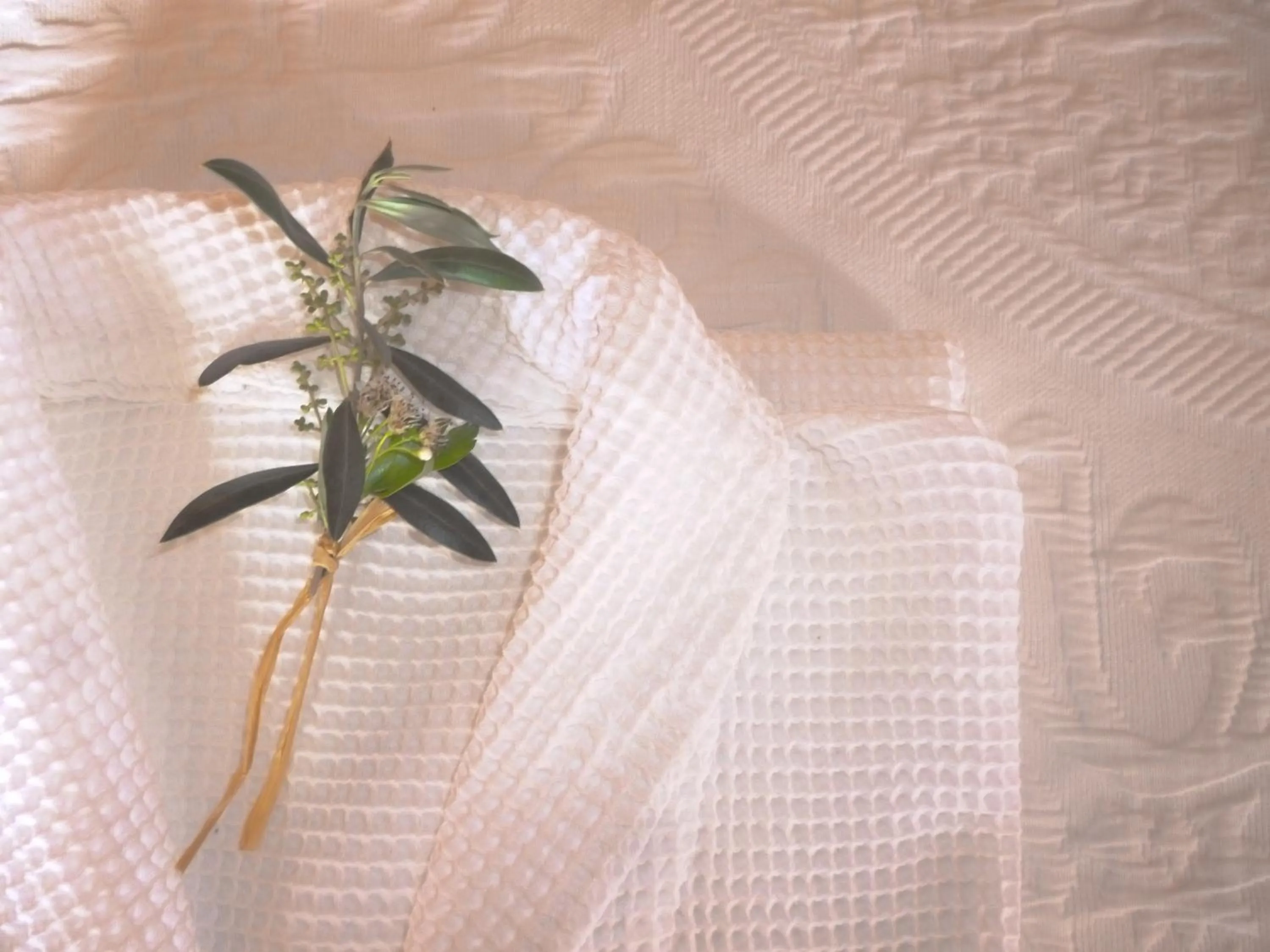 Les Vinyes Alojamiento Rural Boutique & SPA