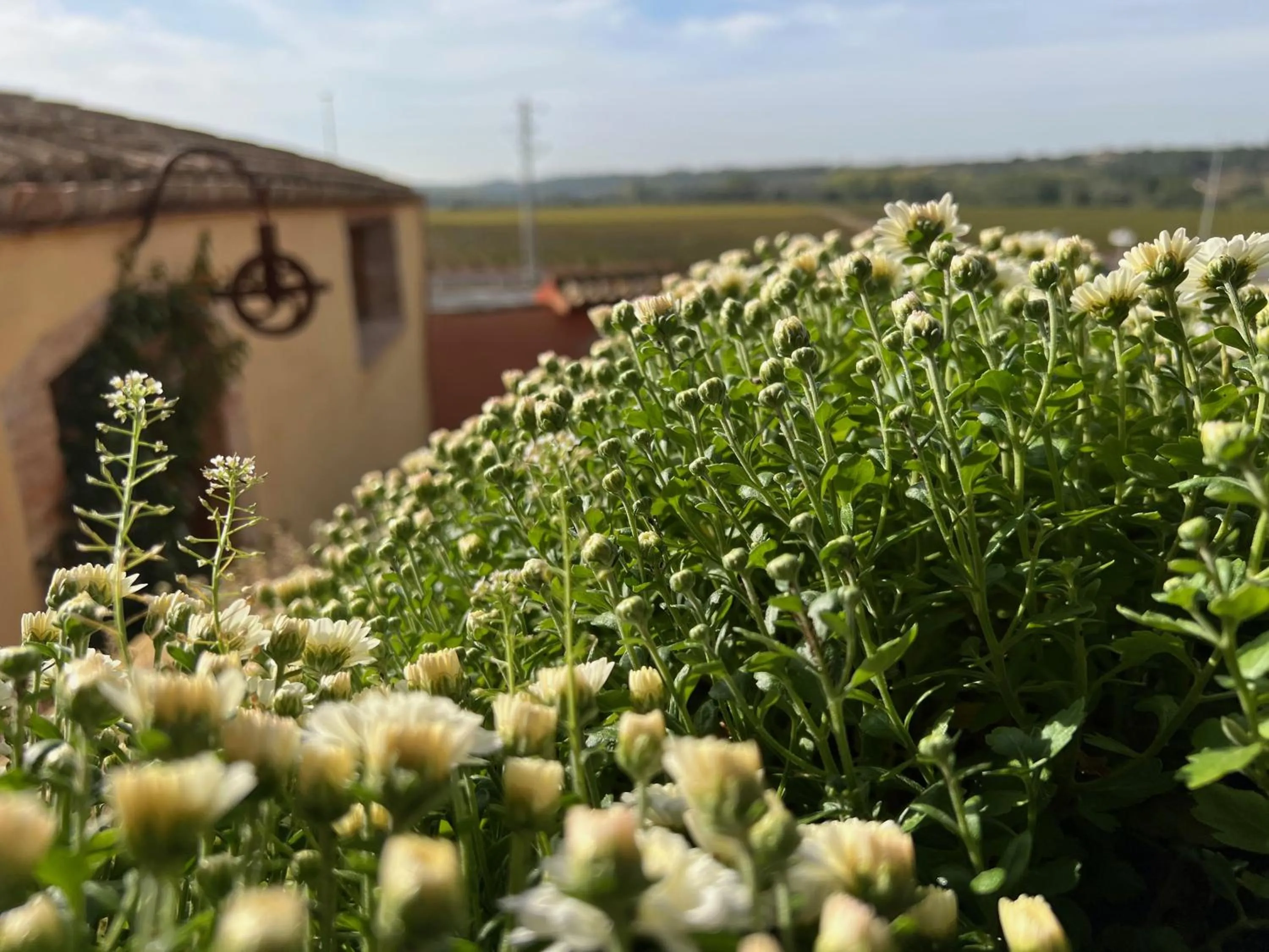 Les Vinyes Alojamiento Rural Boutique & SPA