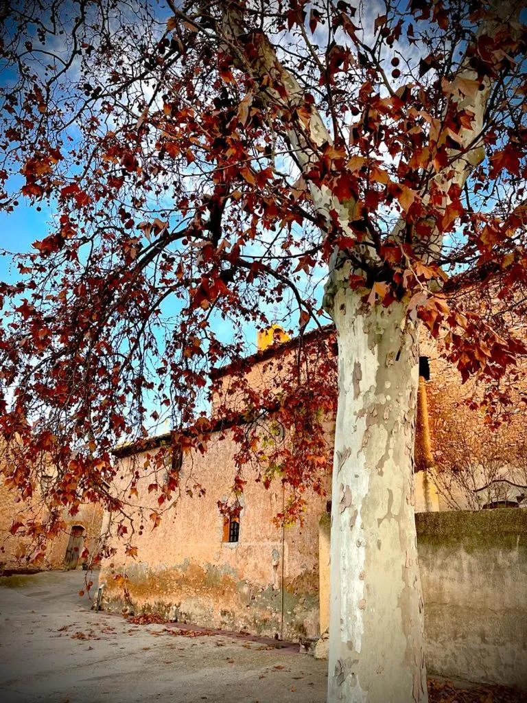 Les Vinyes Alojamiento Rural Boutique & SPA