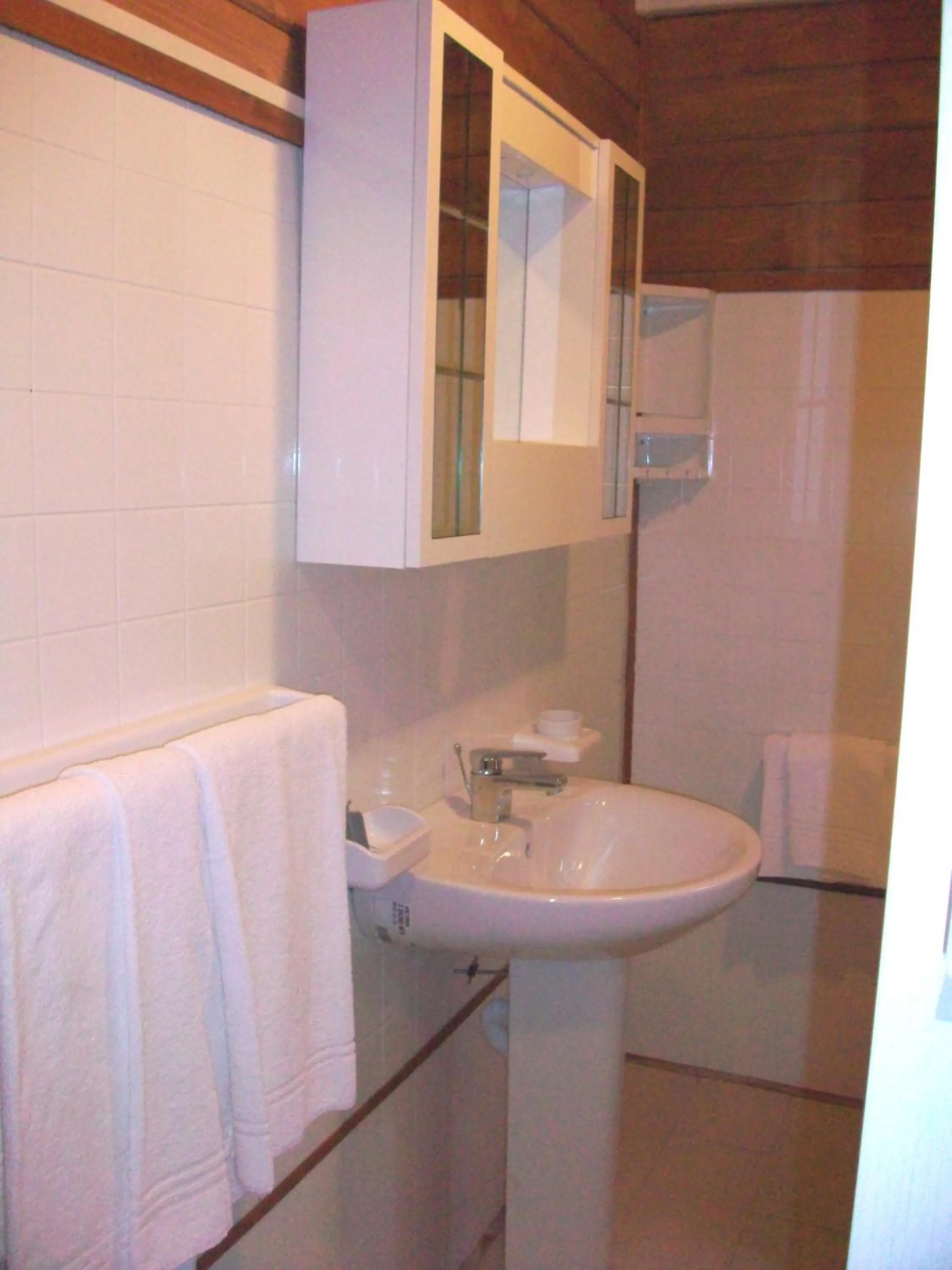 Bathroom in Campeggio Italia