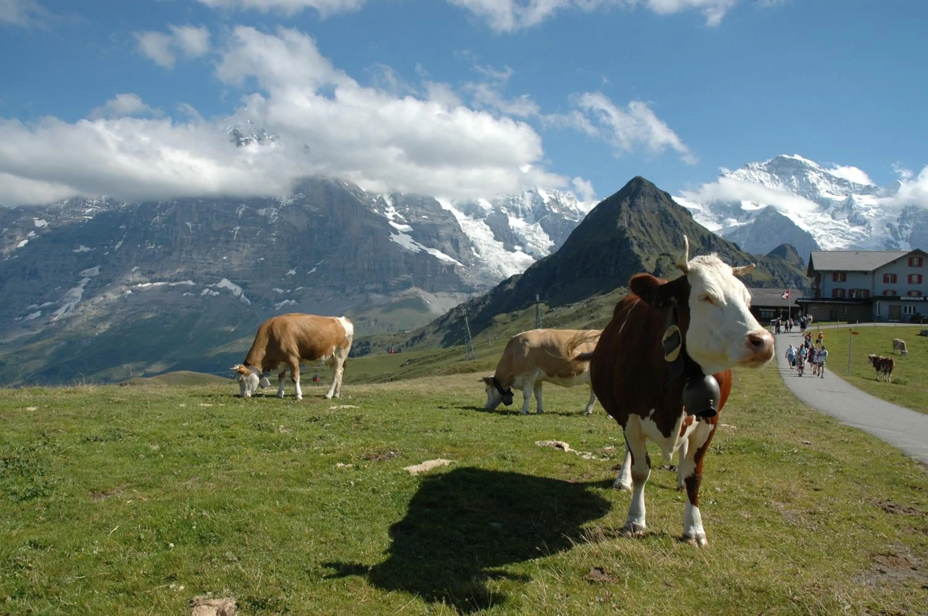 Area and facilities in Berghaus Männlichen