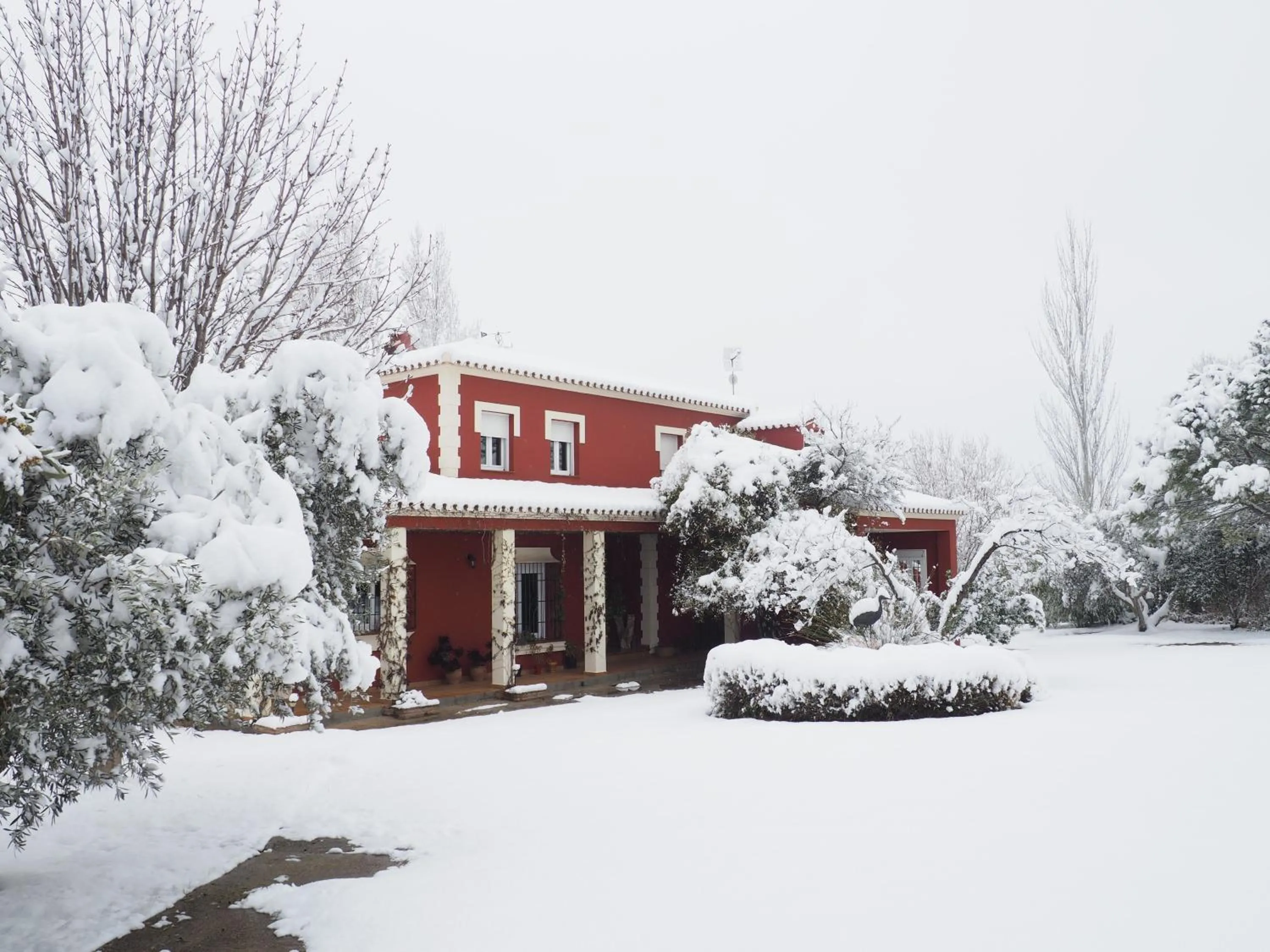 Property building in Los Picachos 10