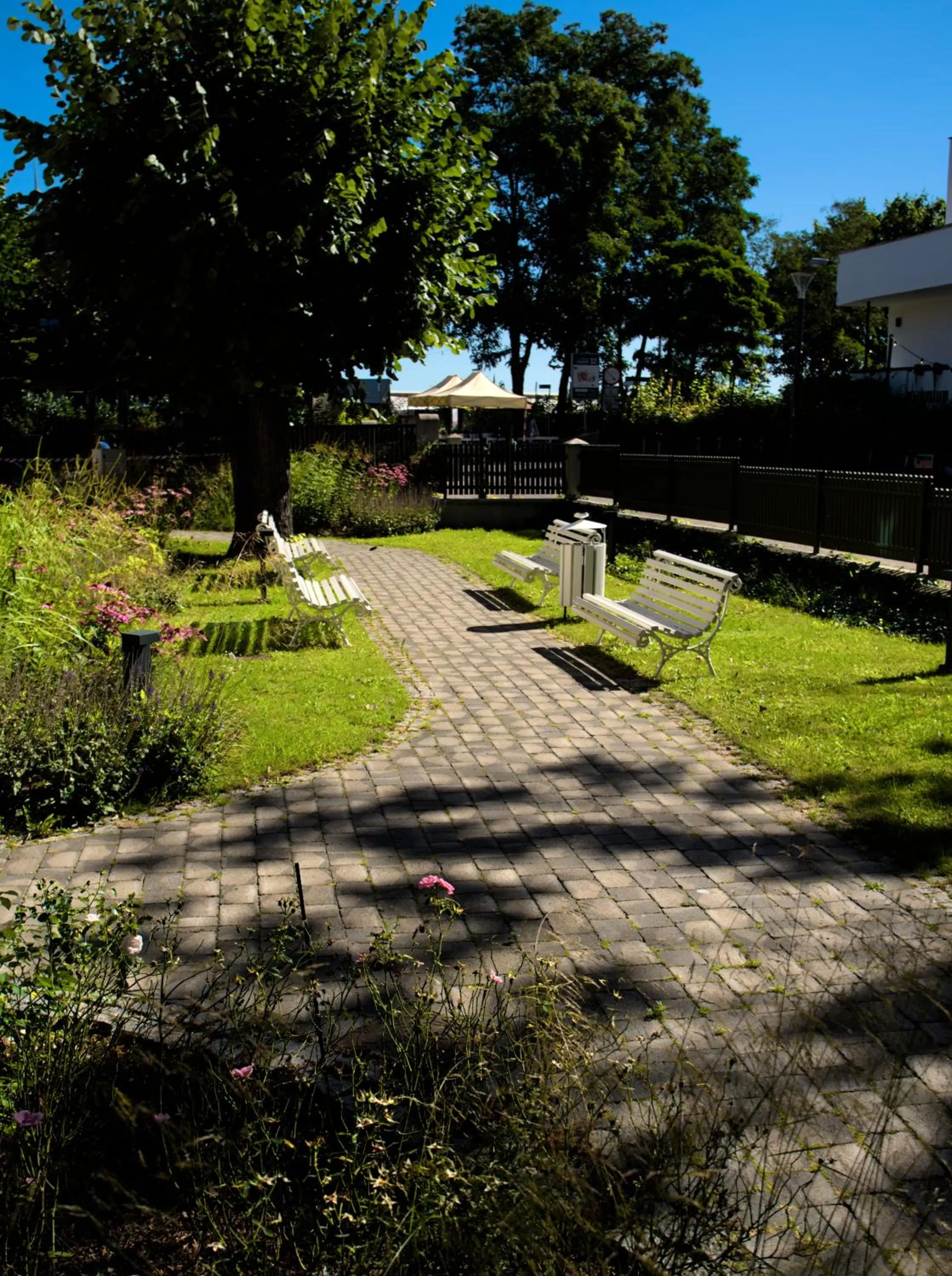 Natural landscape in Hotel Eureka