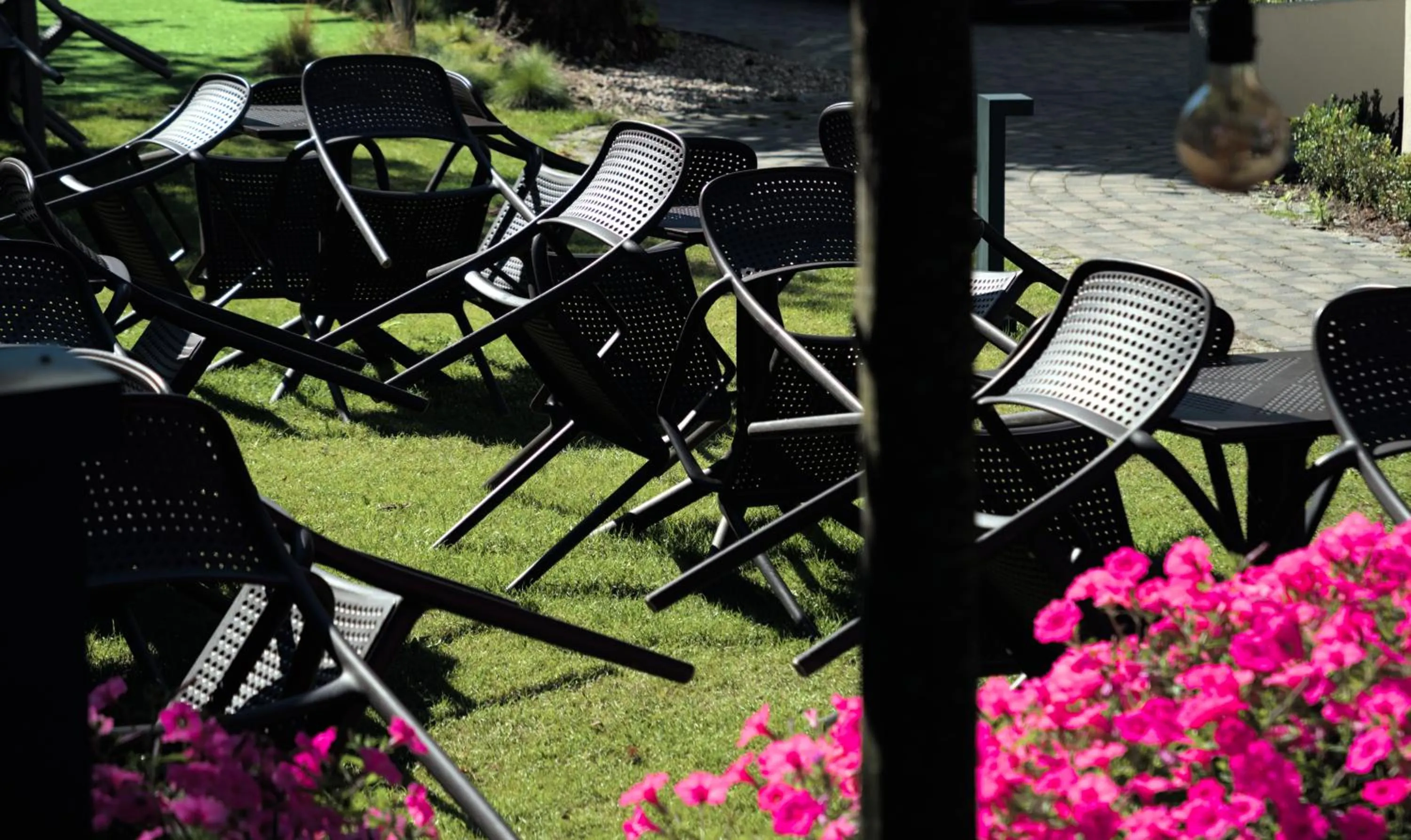 Garden in Hotel Eureka