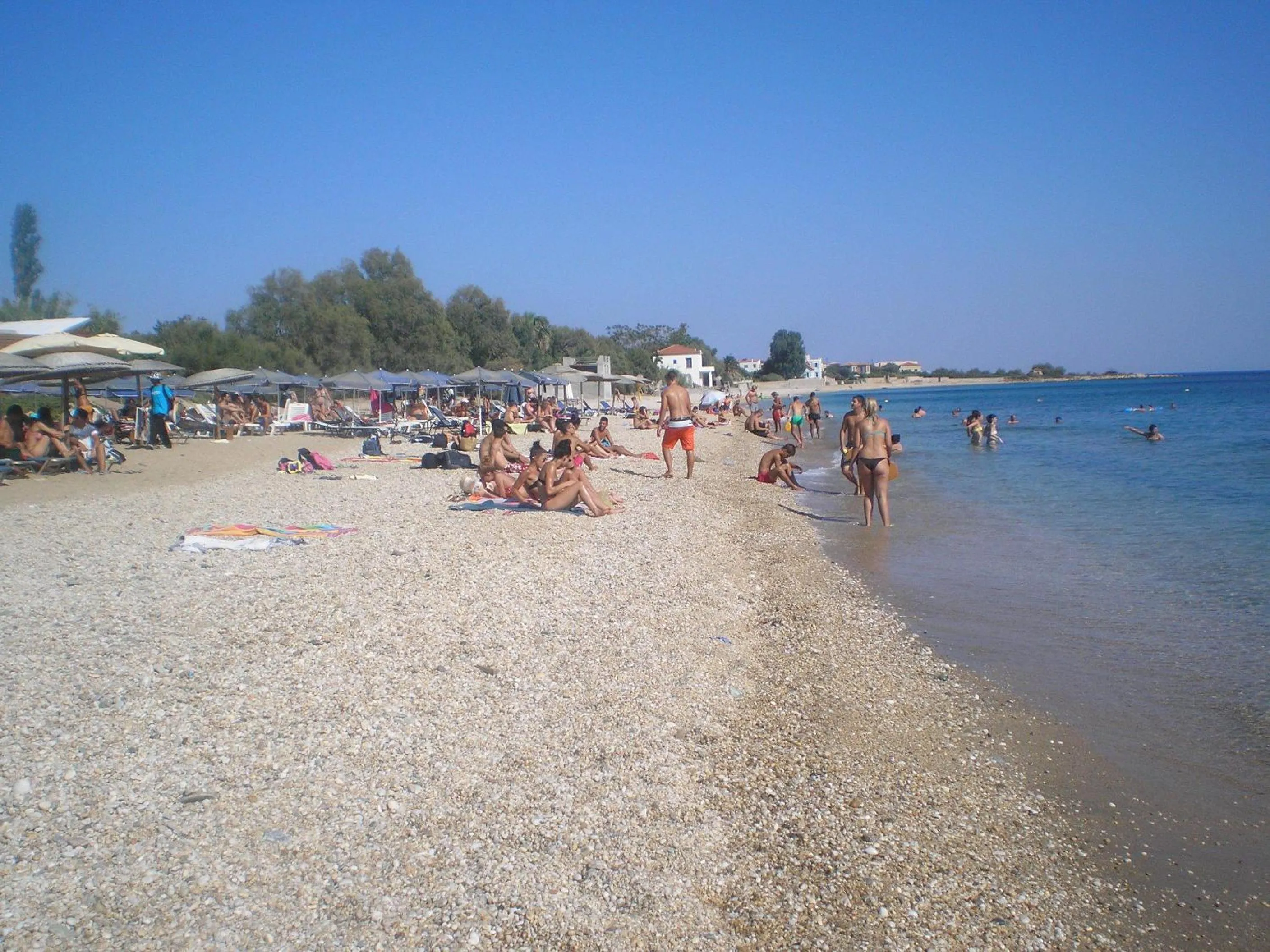 Beach in Apollon (ex. Albatros)