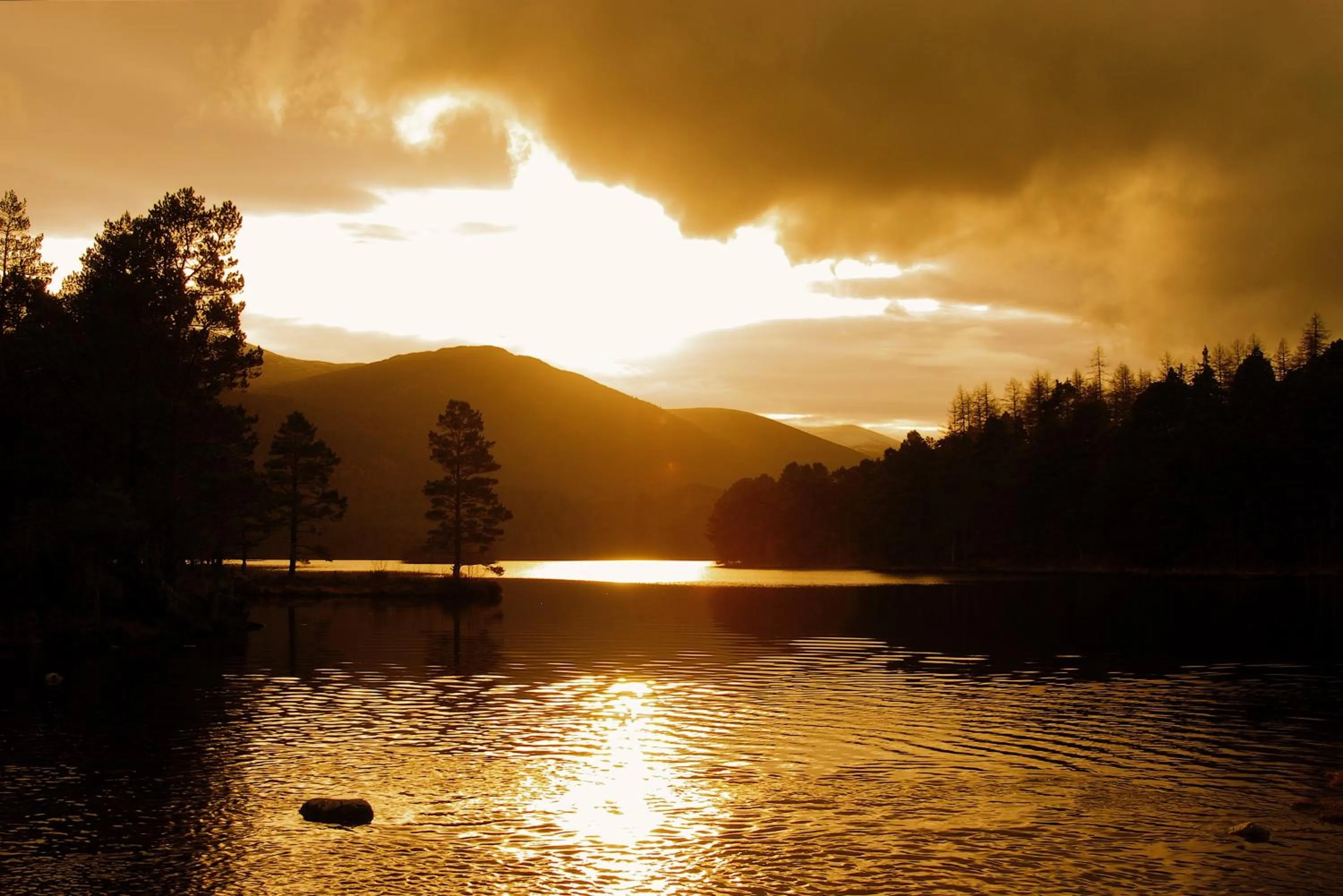 Ravenscraig Guest House