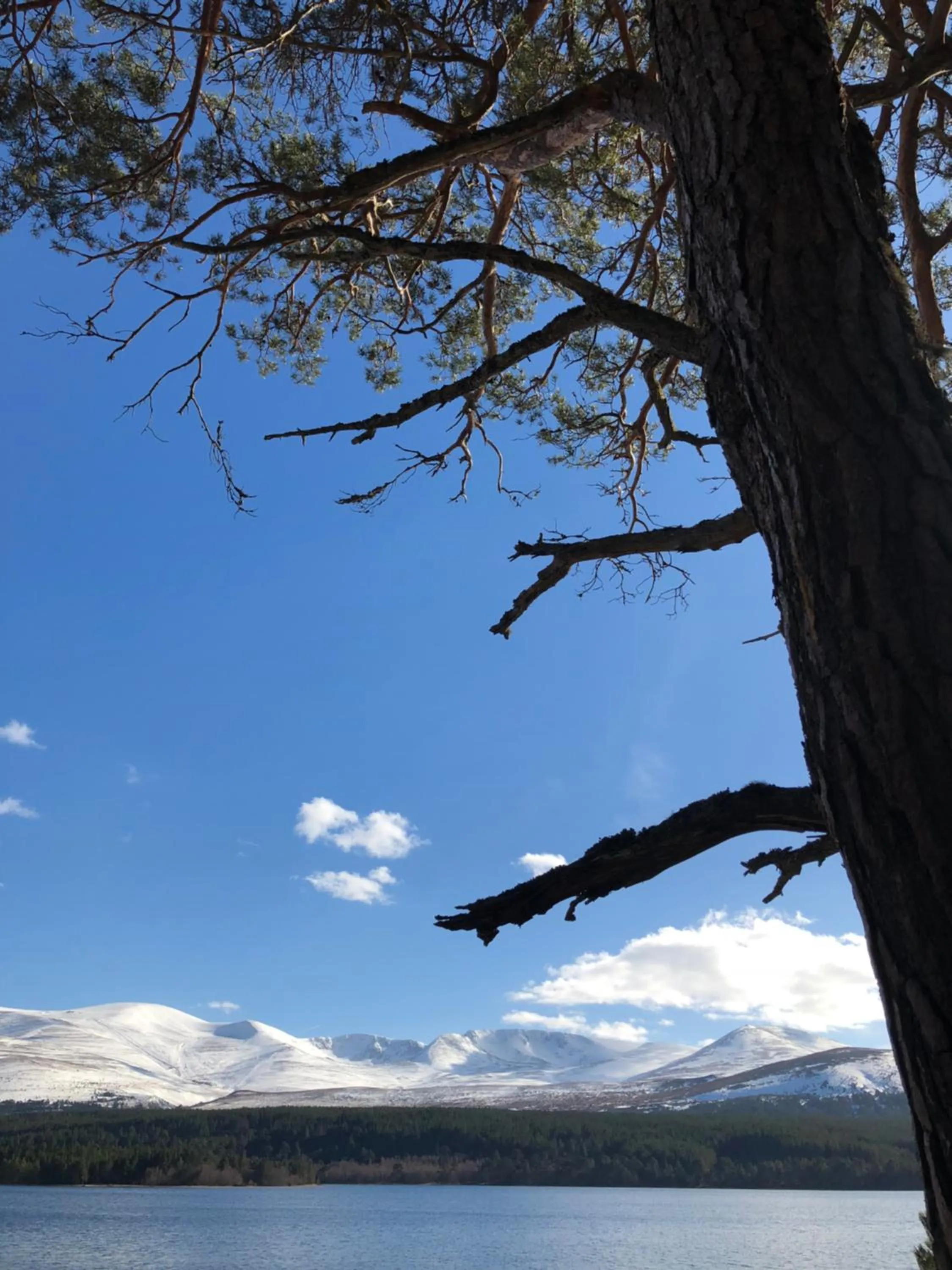 Natural landscape in Ravenscraig Guest House