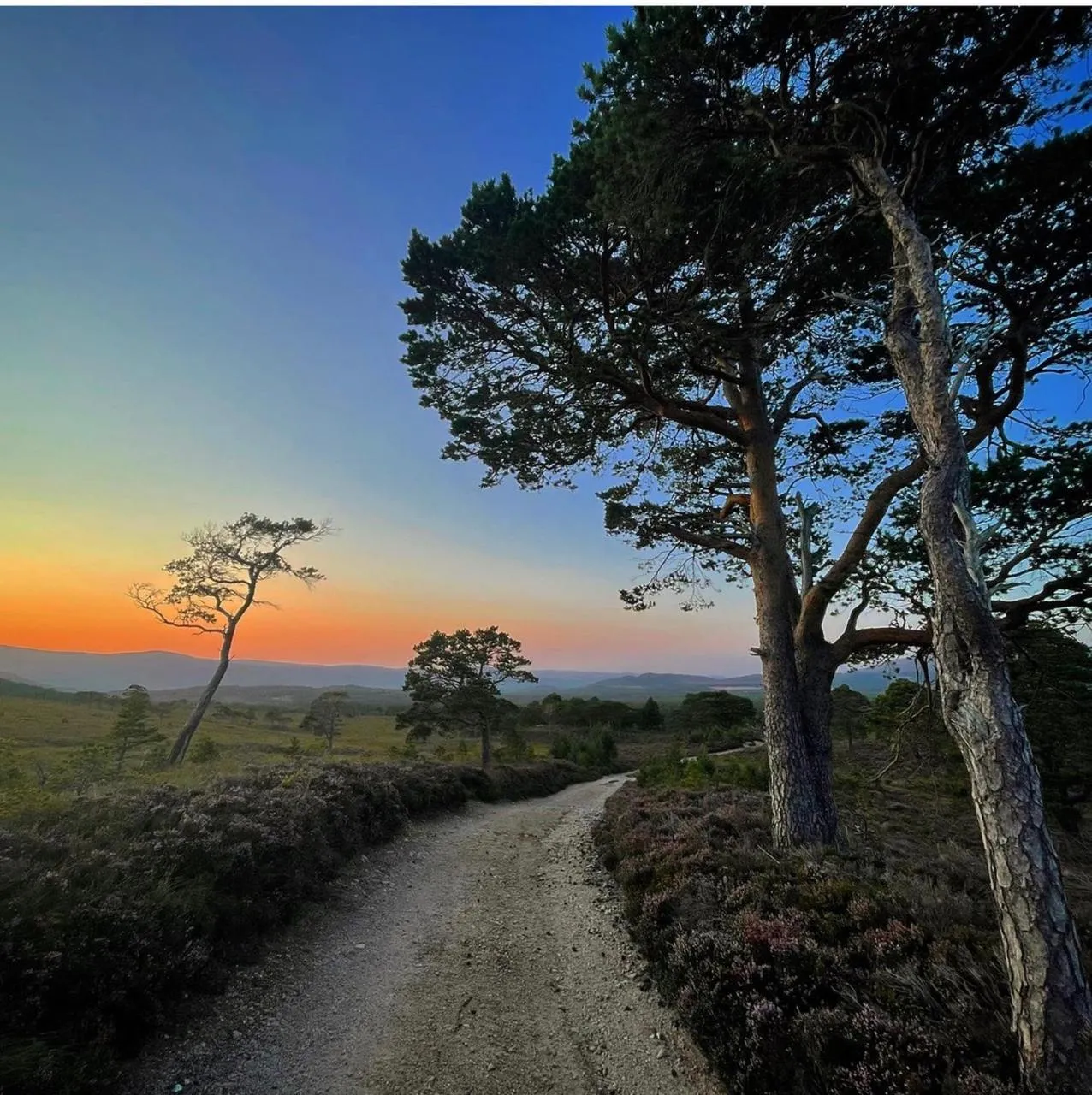 Ravenscraig Guest House