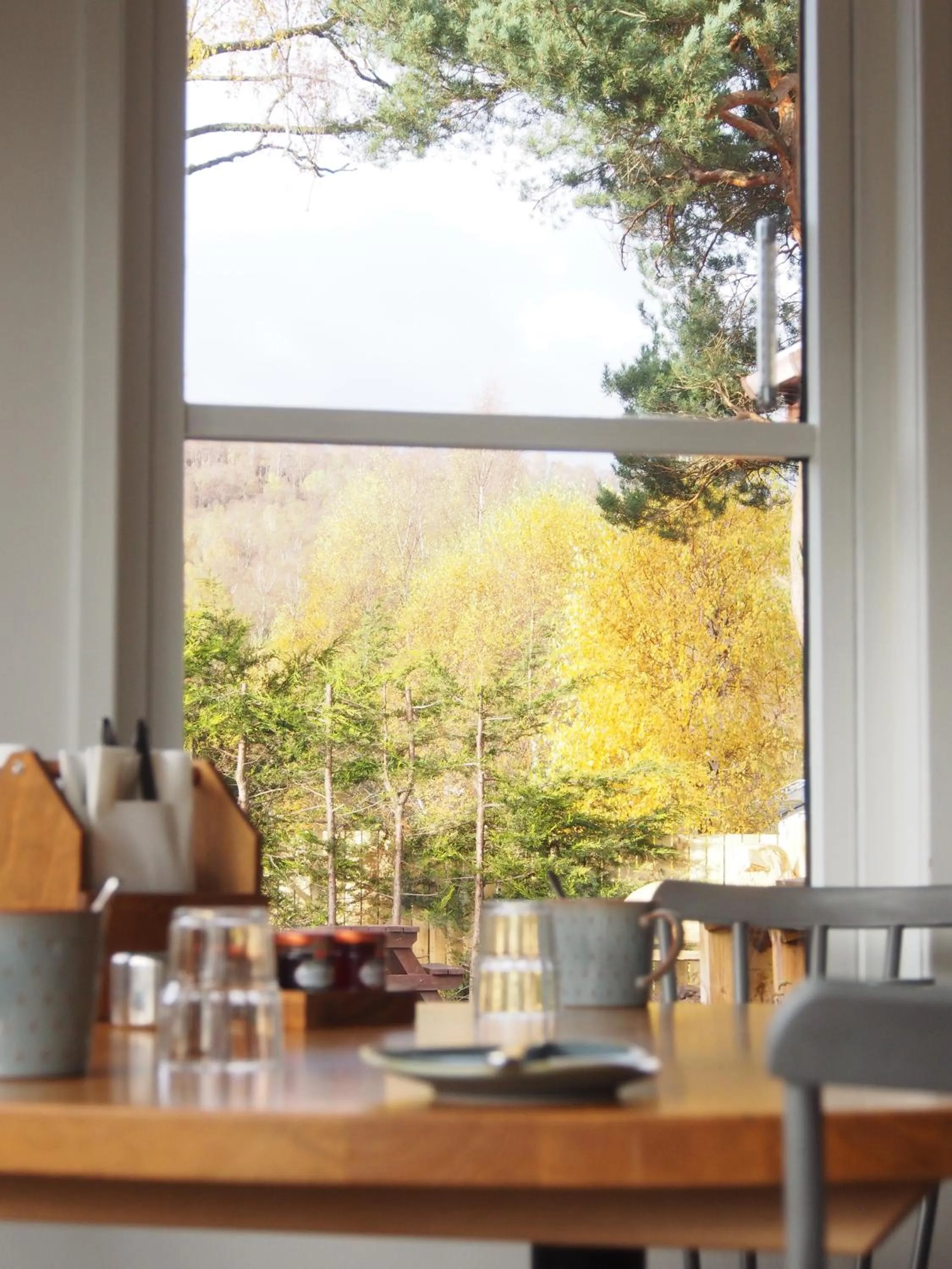 Ravenscraig Guest House