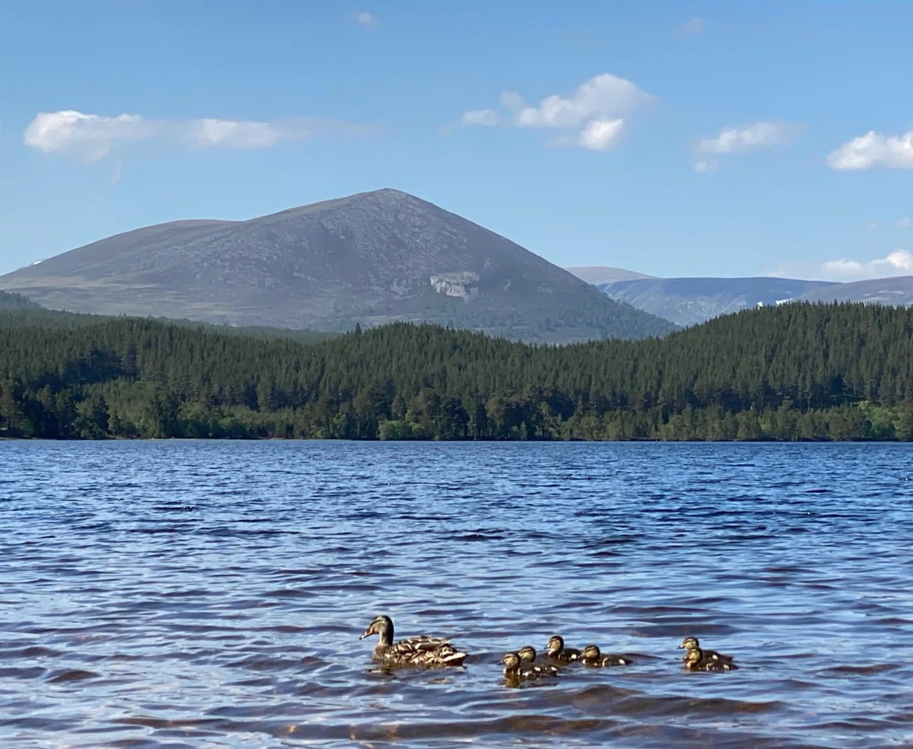 Ravenscraig Guest House