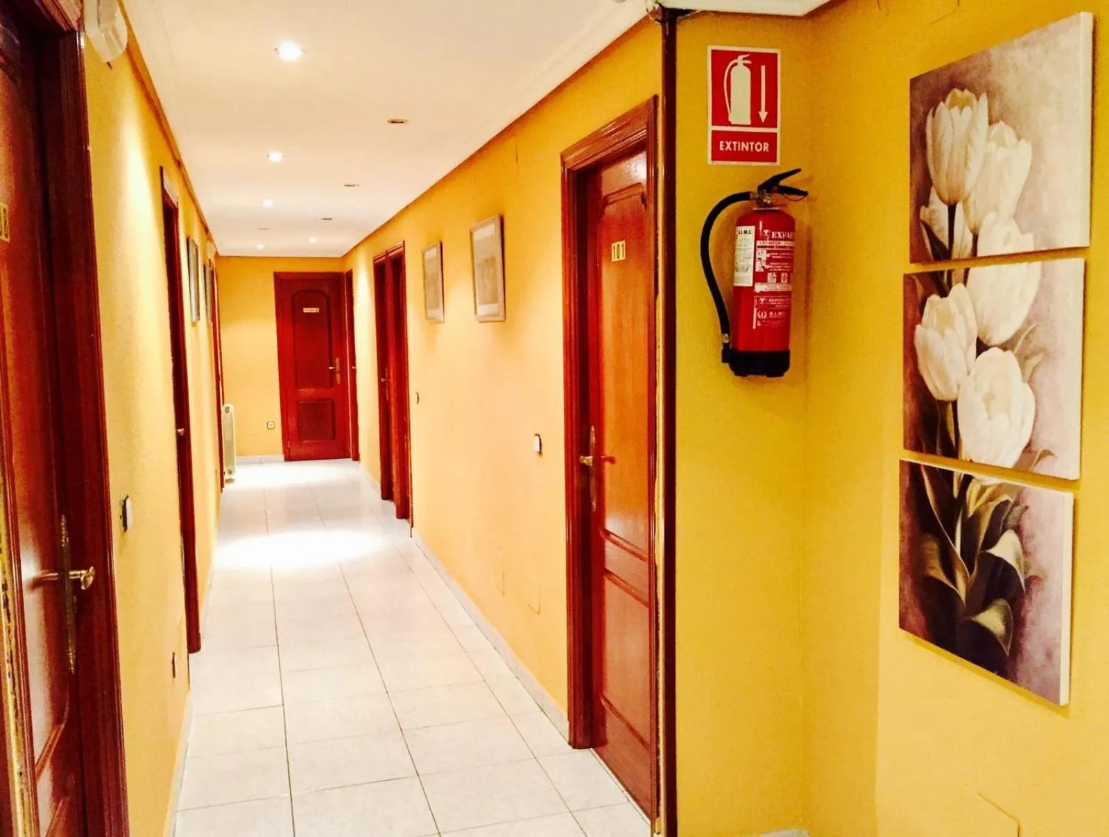 Area and facilities in Hostal Sol Naciente