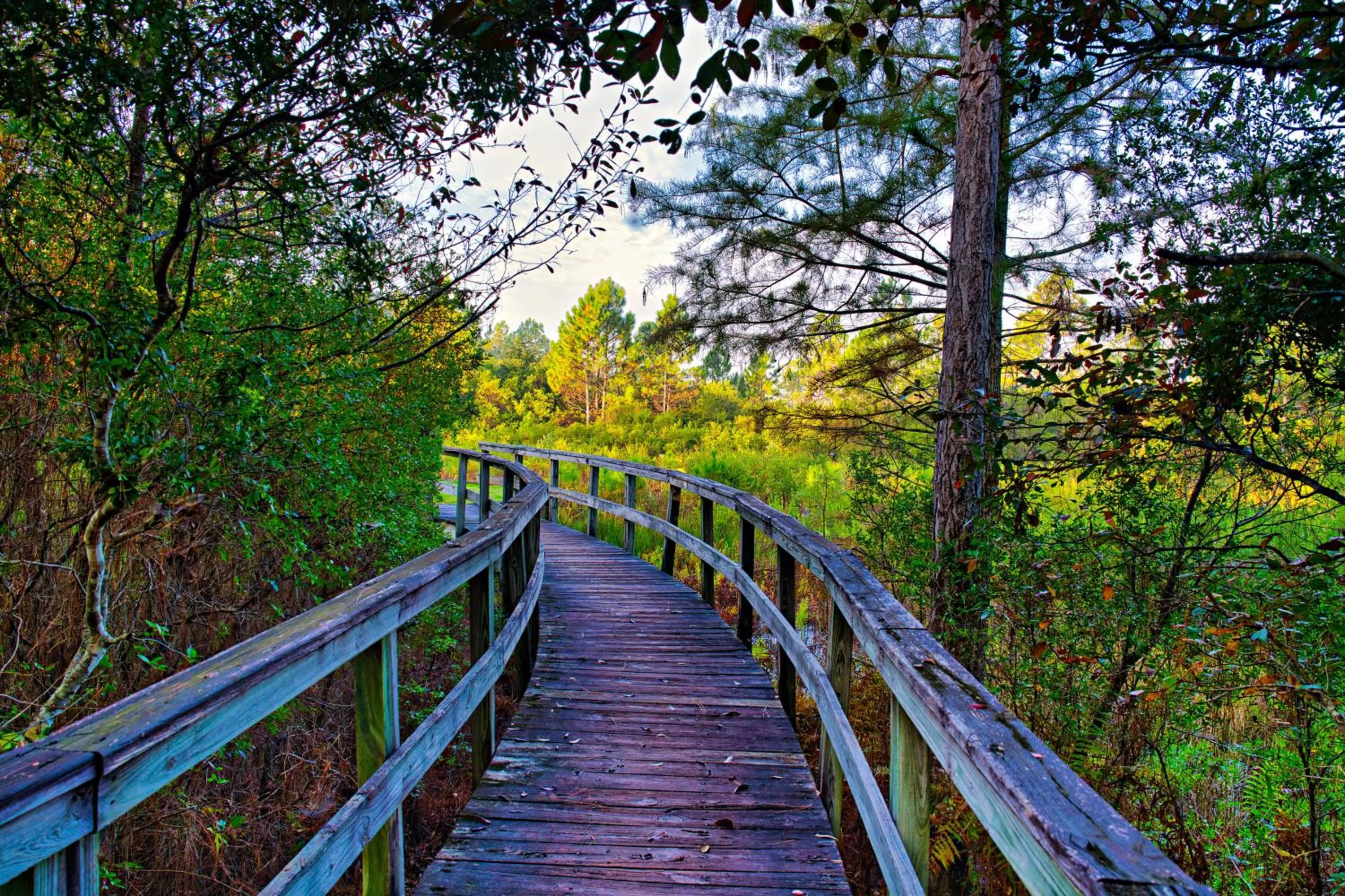 Natural landscape in St James Bay Golf & Pickleball Resort
