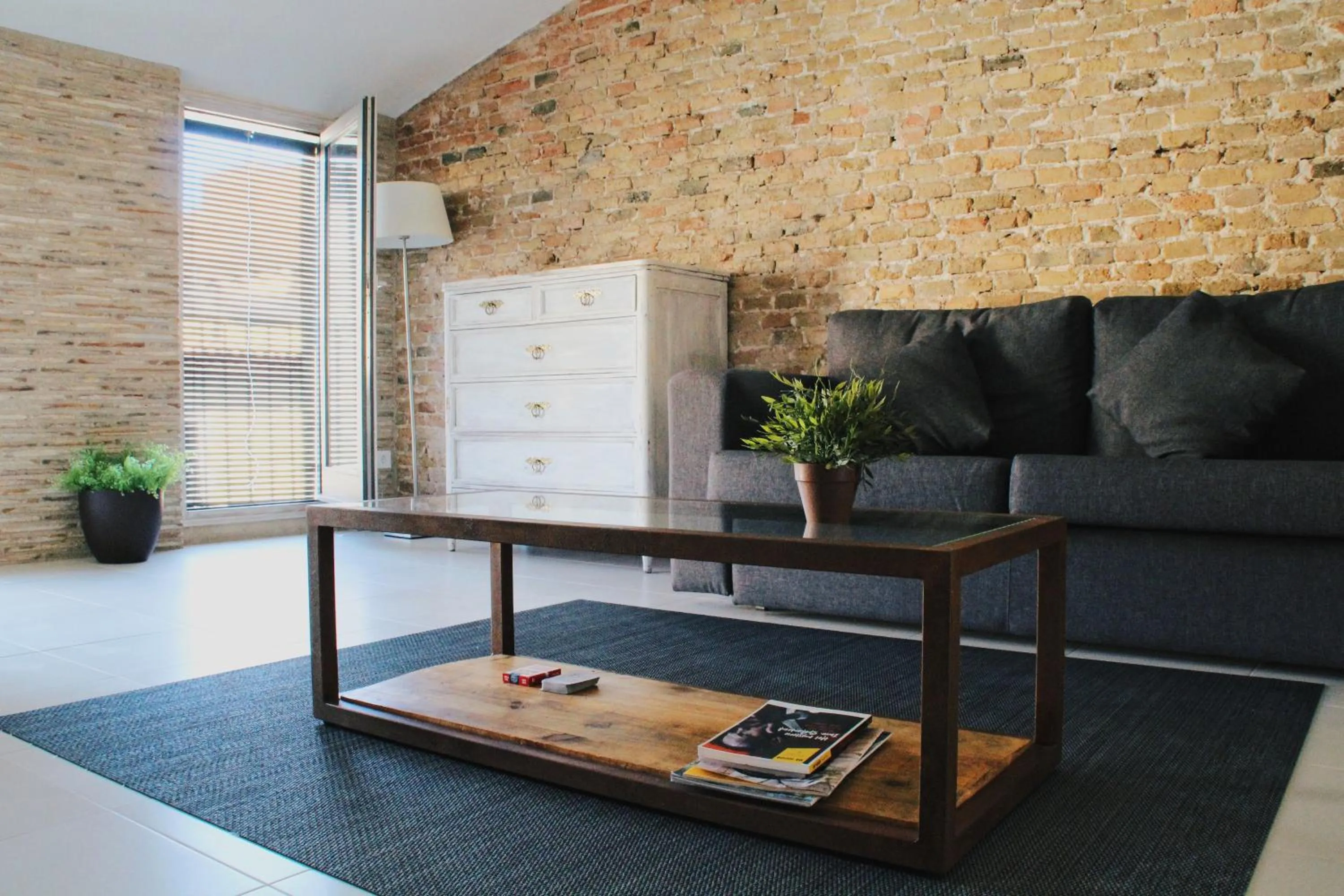 Living room in Onyar apartments Rambla de la llibertat 27