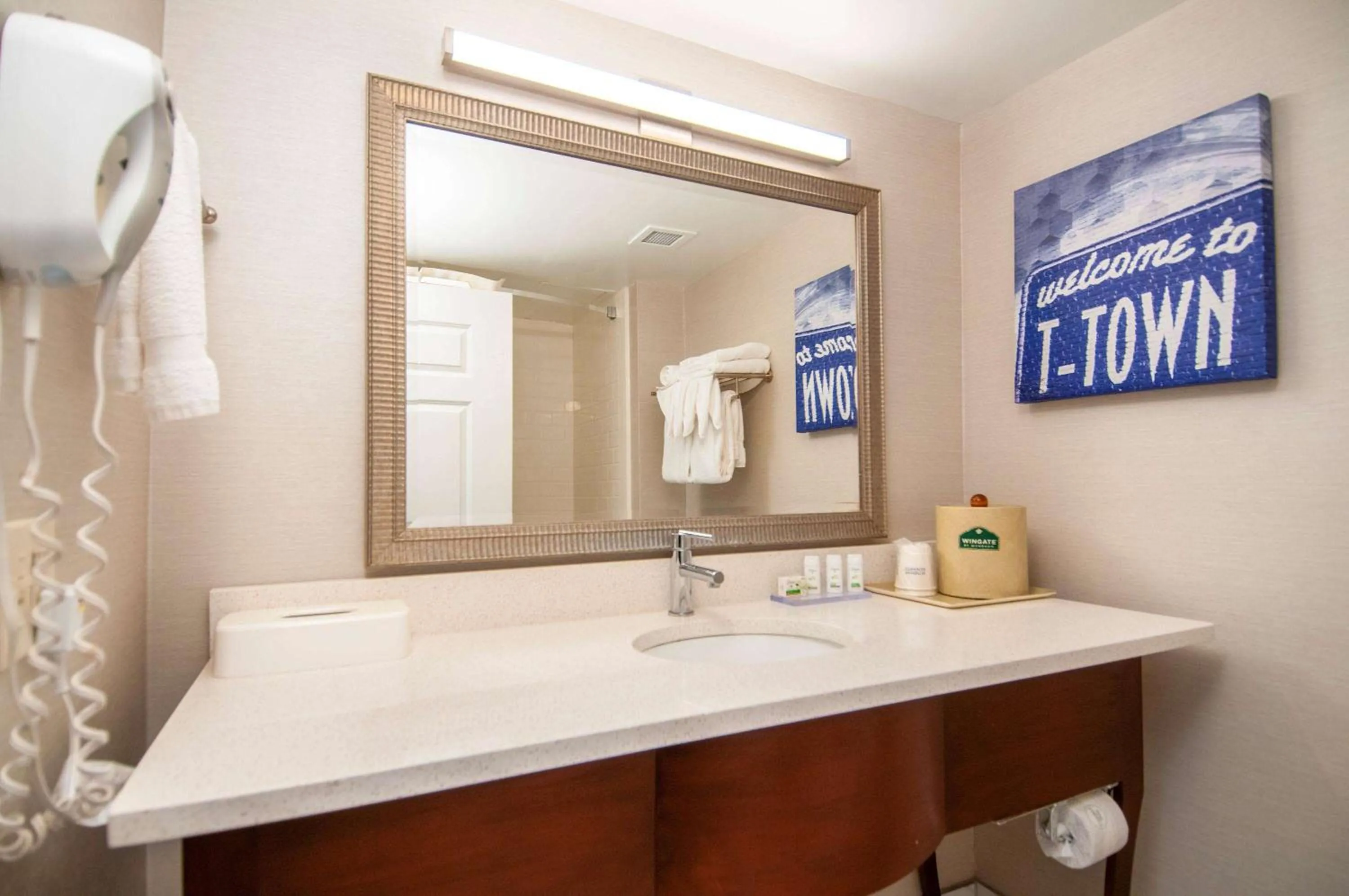 Bathroom in Wingate by Wyndham Tuscaloosa