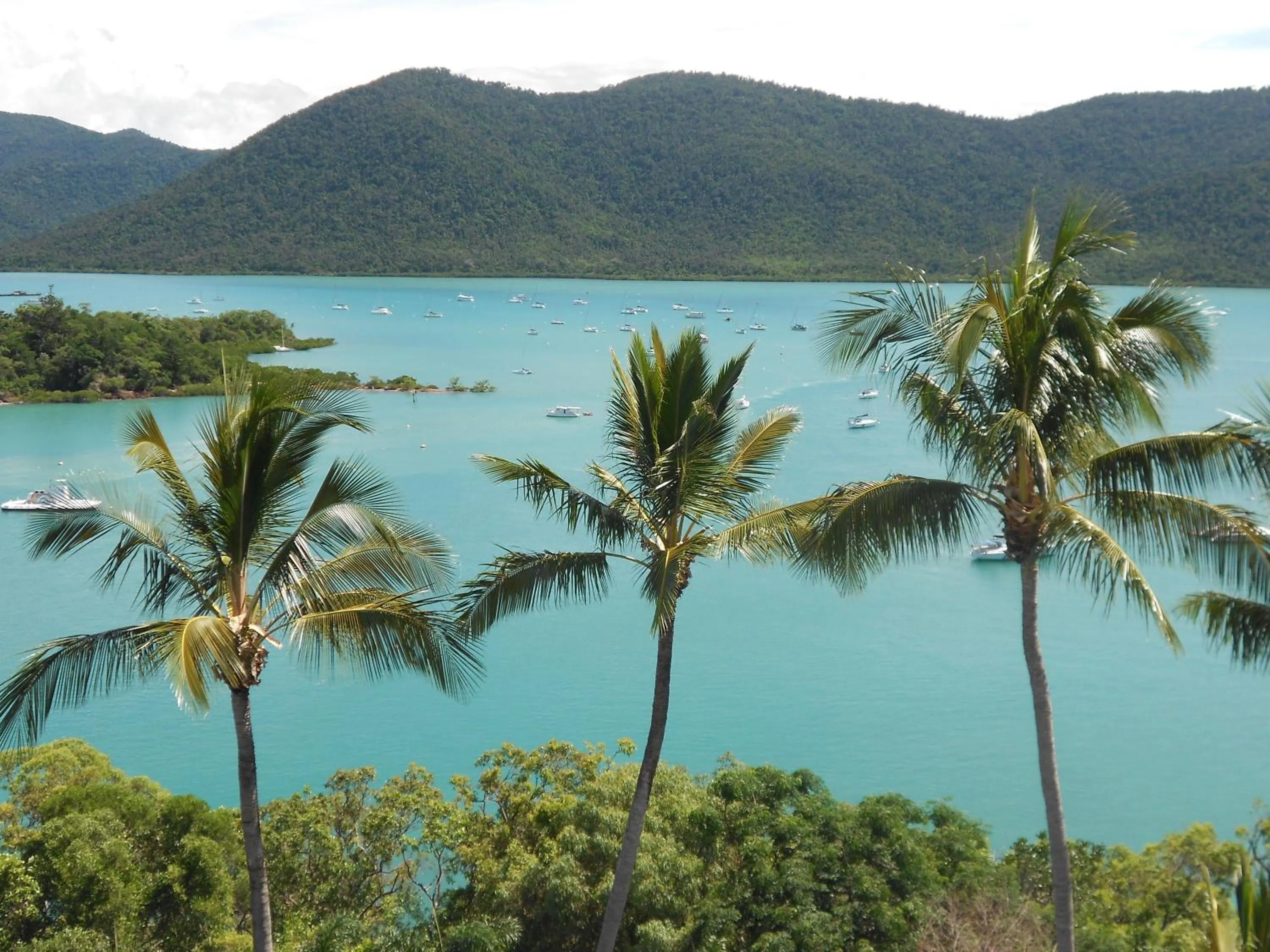 Day in Coral Point Lodge