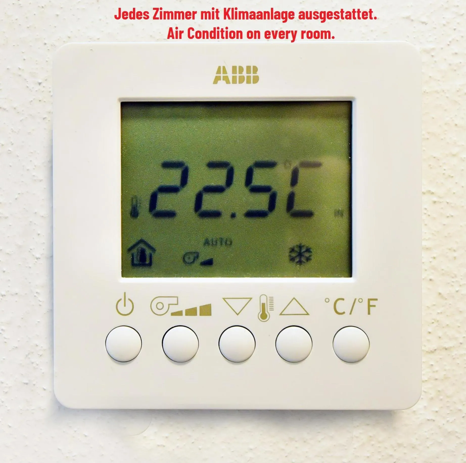 Decorative detail in DAS HÜRNER