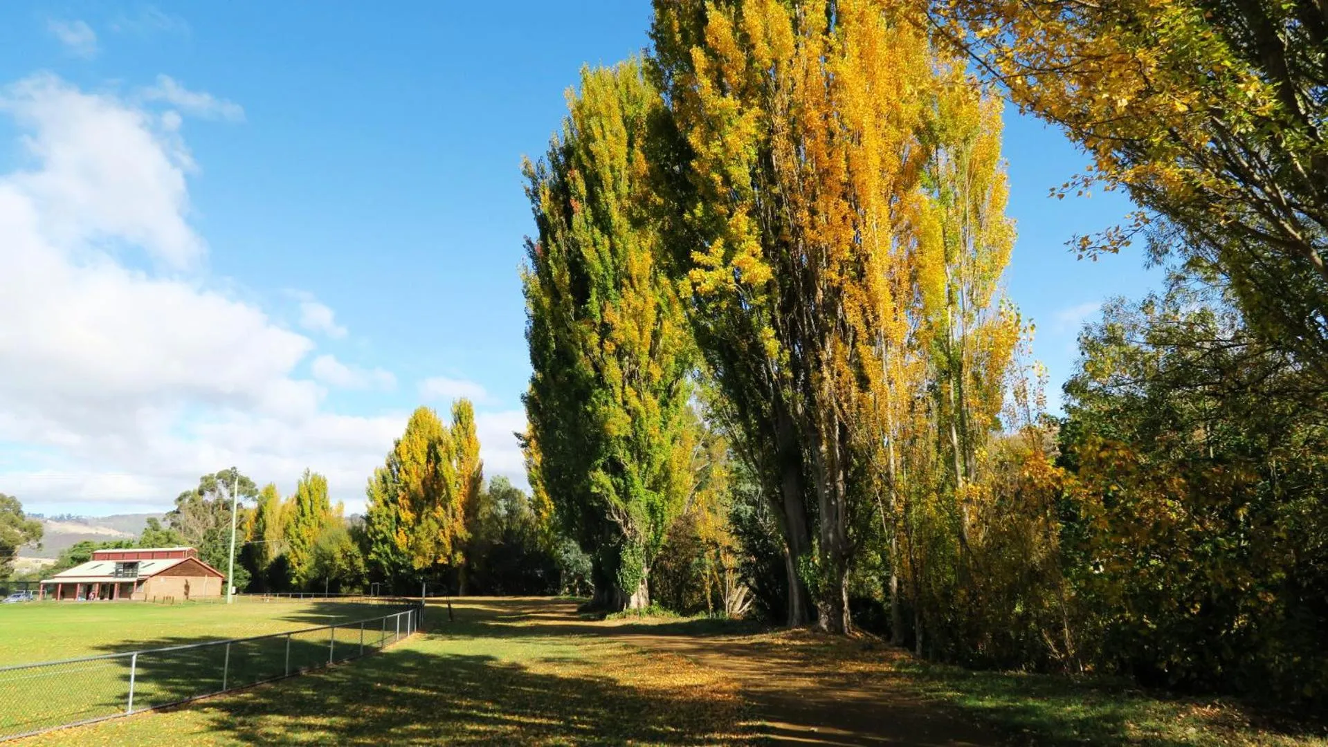 Natural landscape in New Norfolk Junction Motel