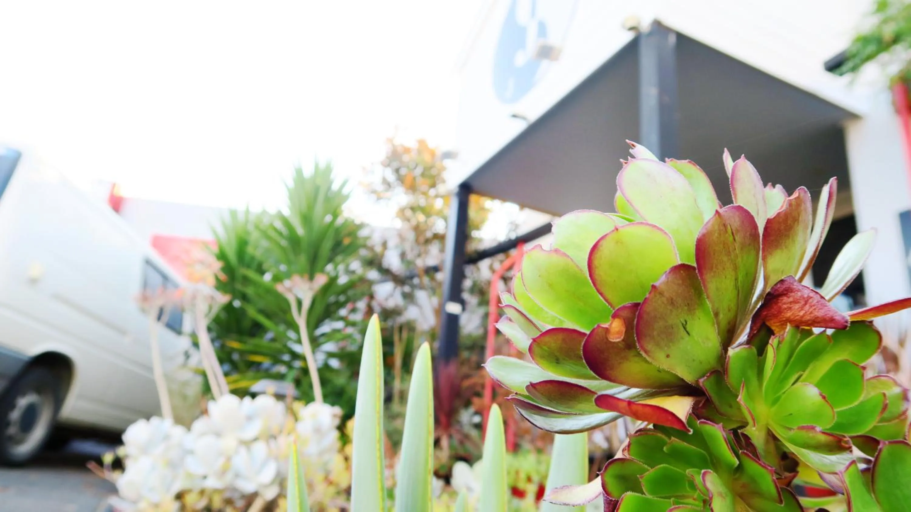 Facade/entrance in New Norfolk Junction Motel