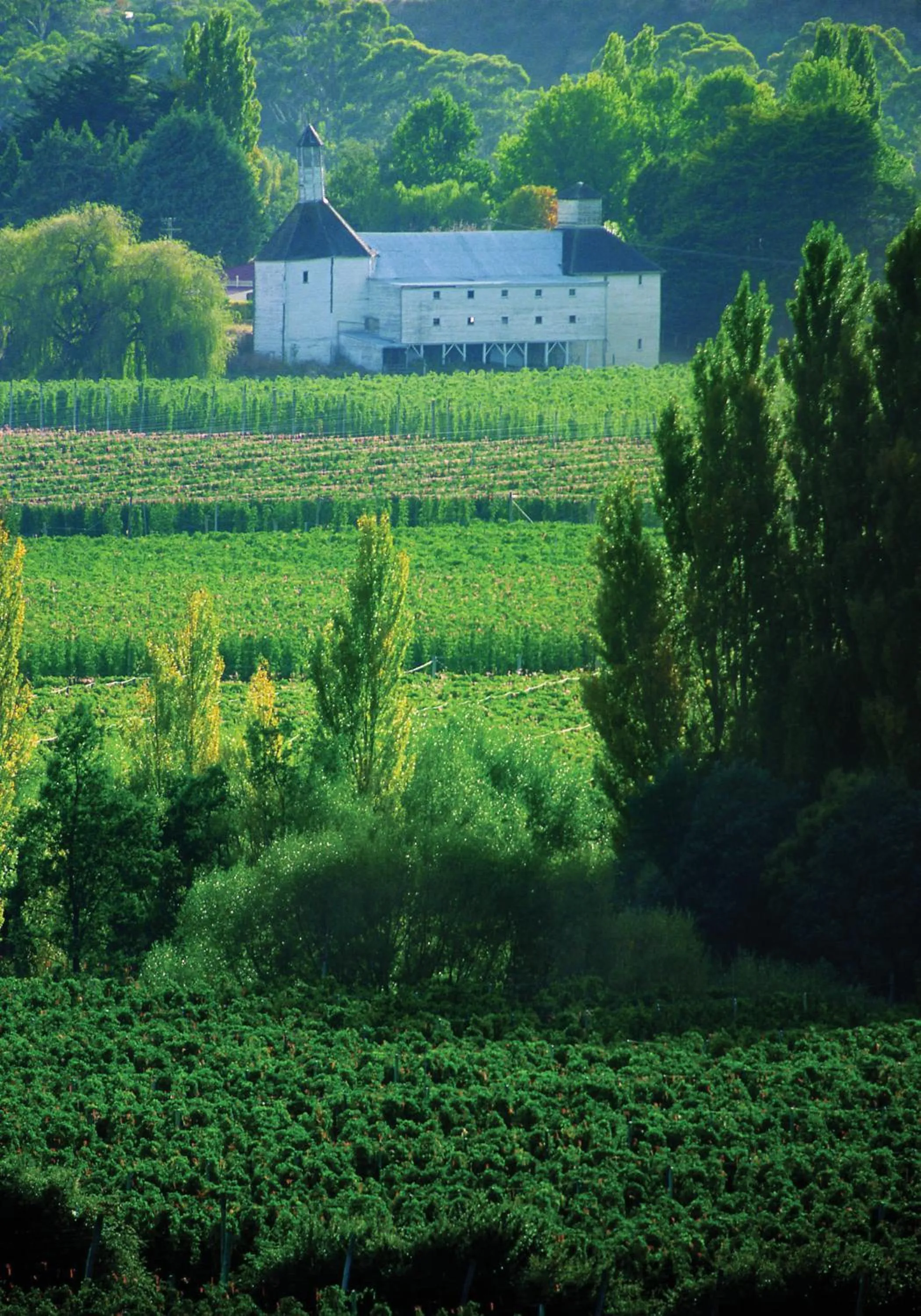 Nearby landmark in New Norfolk Junction Motel