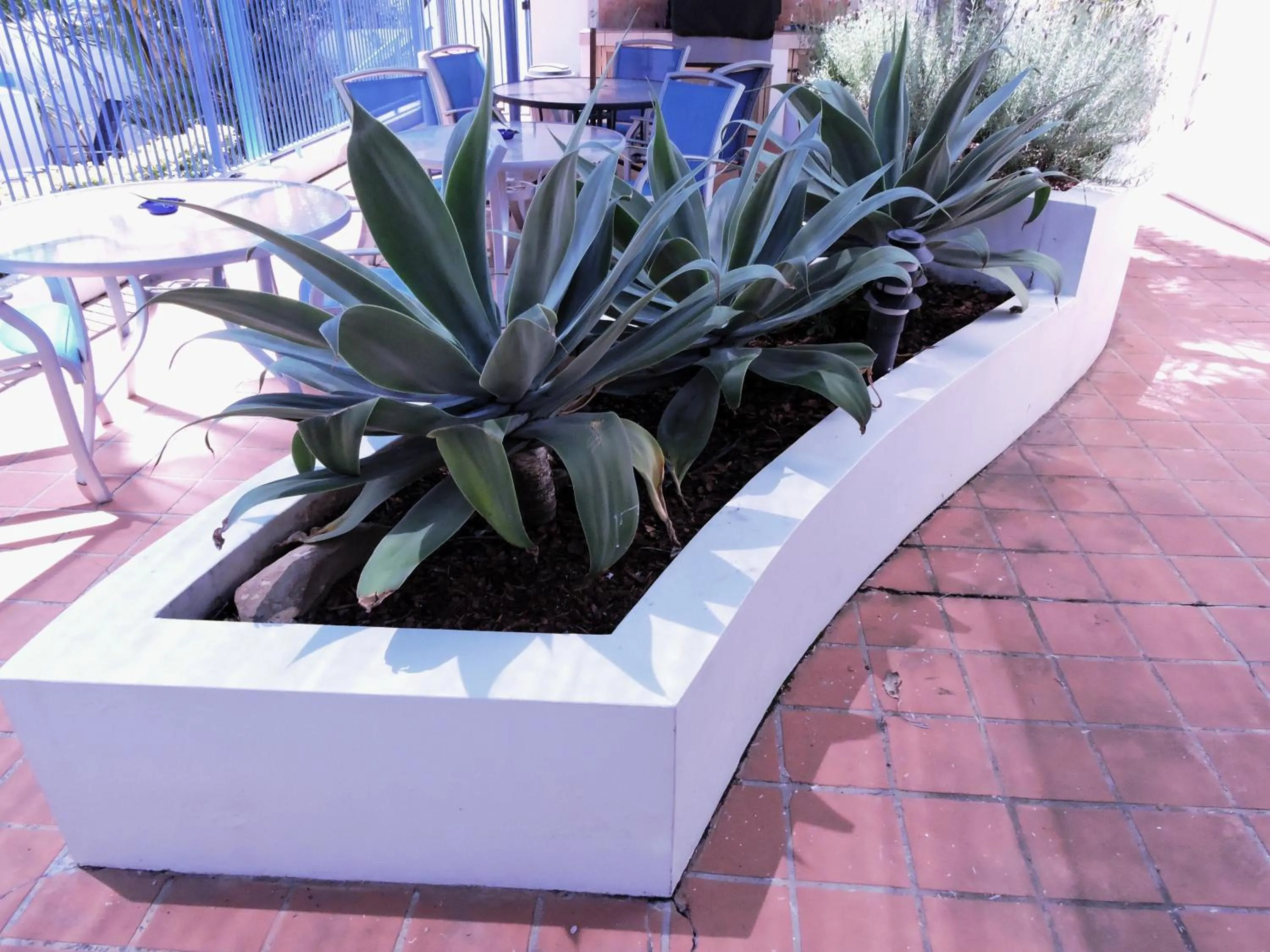 Garden in Surfers Beach Resort One