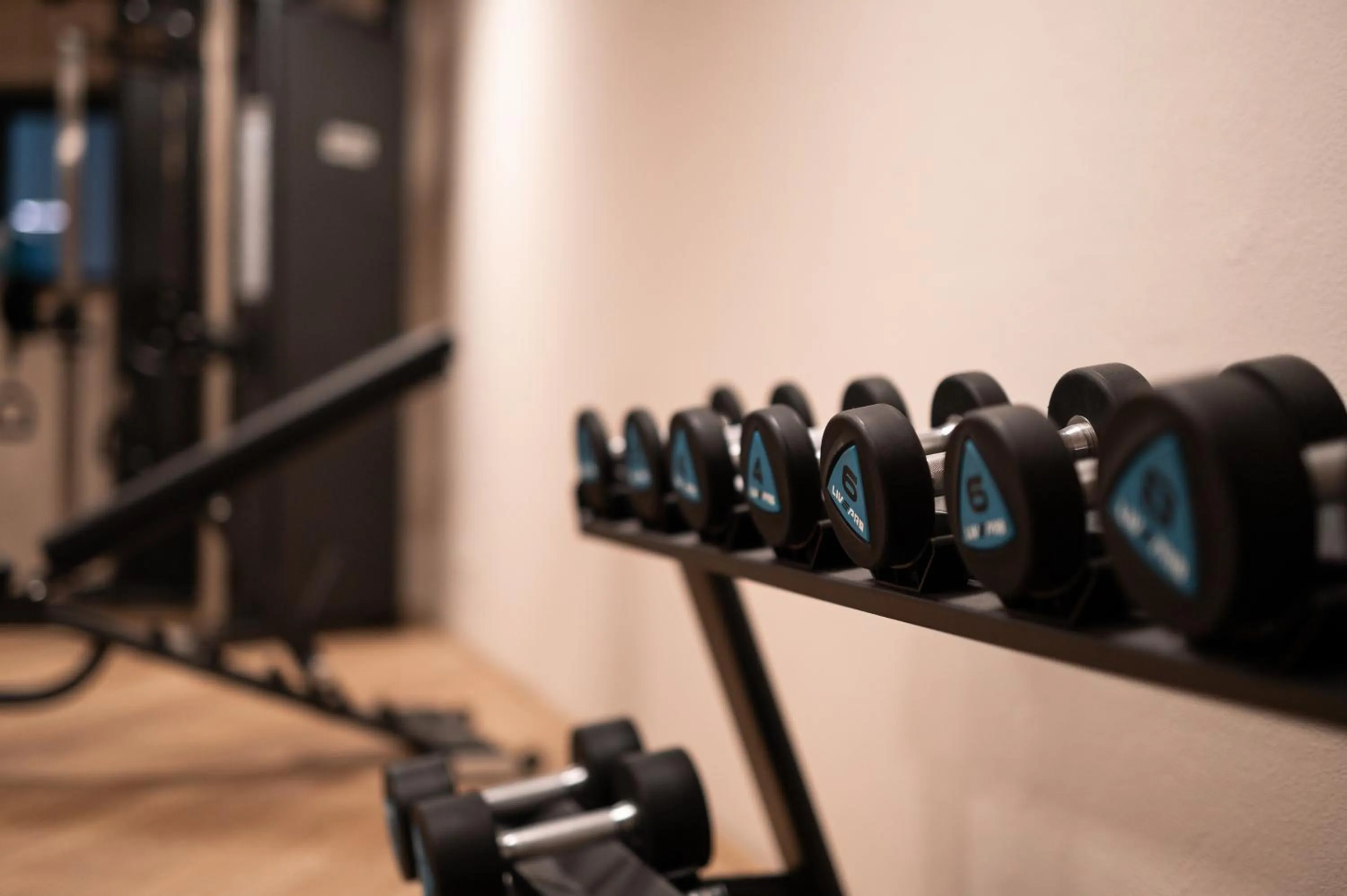 Fitness centre/facilities in Landpalais Goyenhof - Deluxe Suites & Breakfast