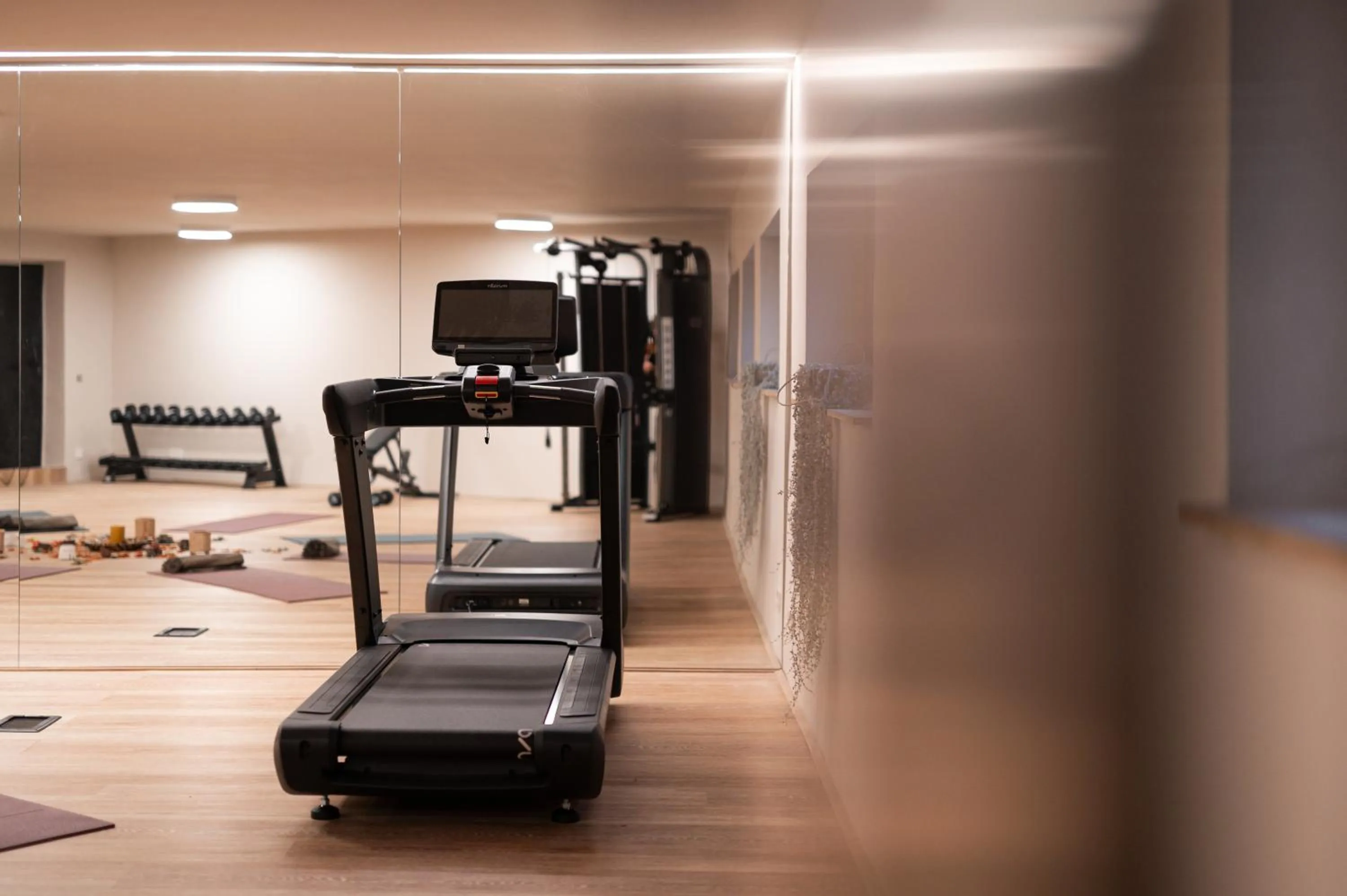Fitness centre/facilities in Landpalais Goyenhof - Deluxe Suites & Breakfast