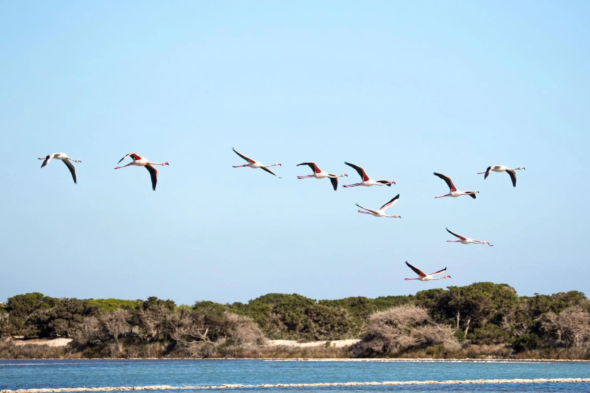 Nearby landmark in Sa Pedrera Suites & Spa