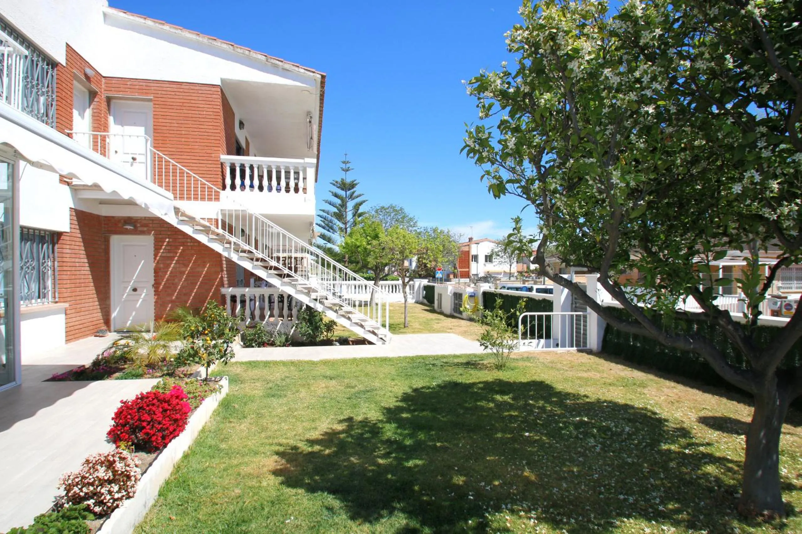 Patio in Casa Rosales 5