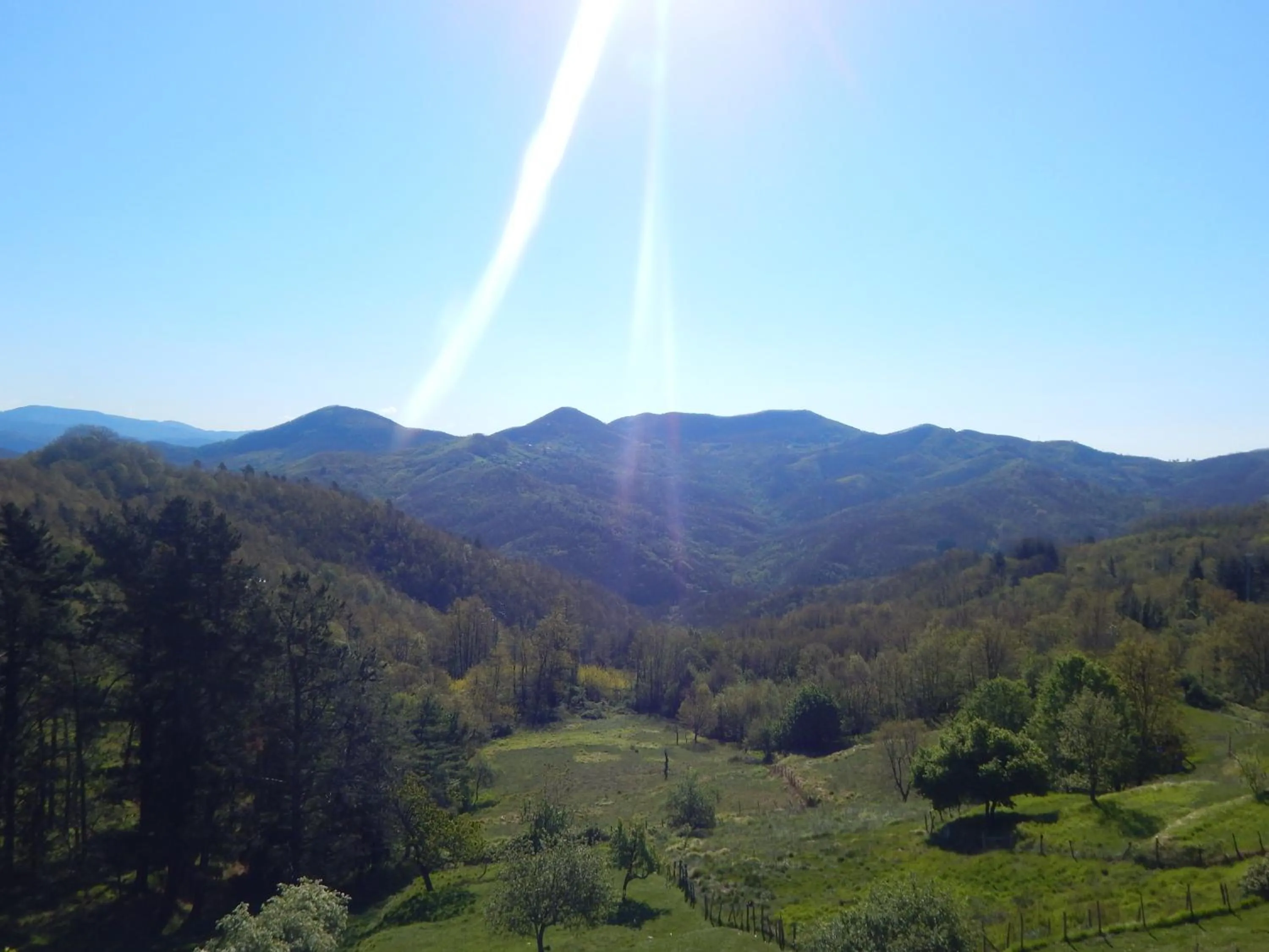 Garden view in Albergo La Veranda