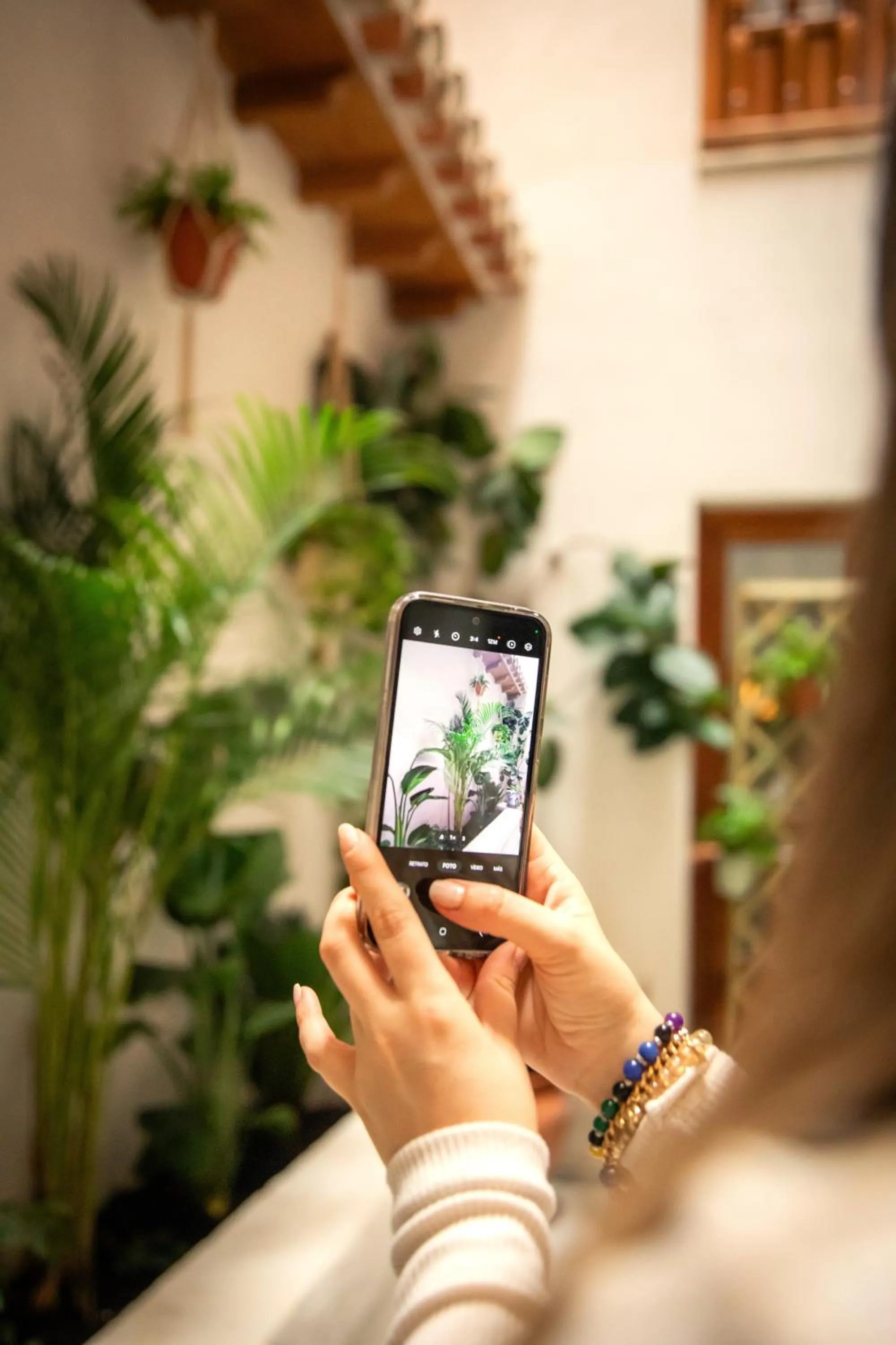 Garden in Apartamentos VITA CENTER