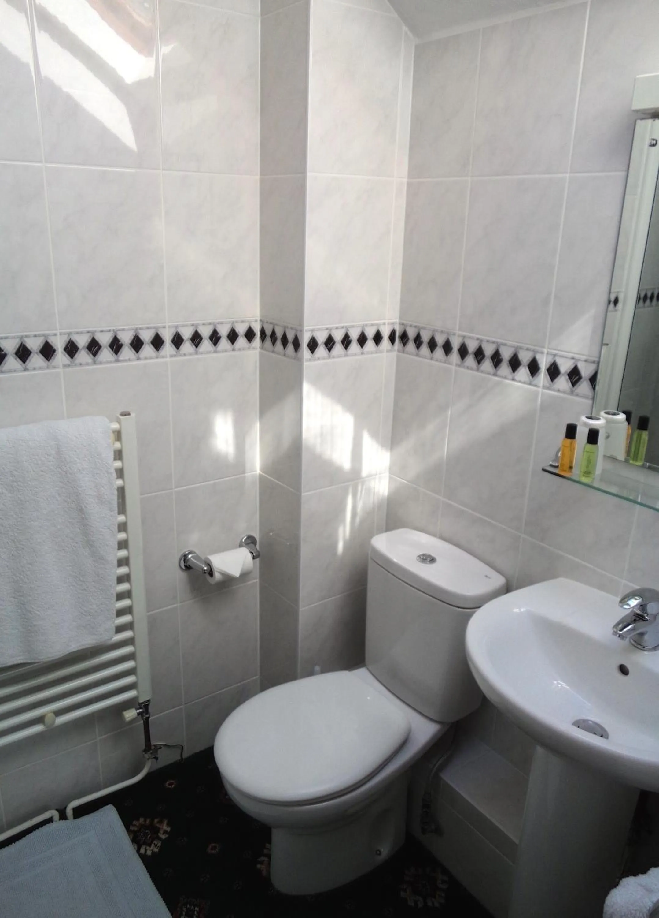 Shower in Hunters Lodge Guest House