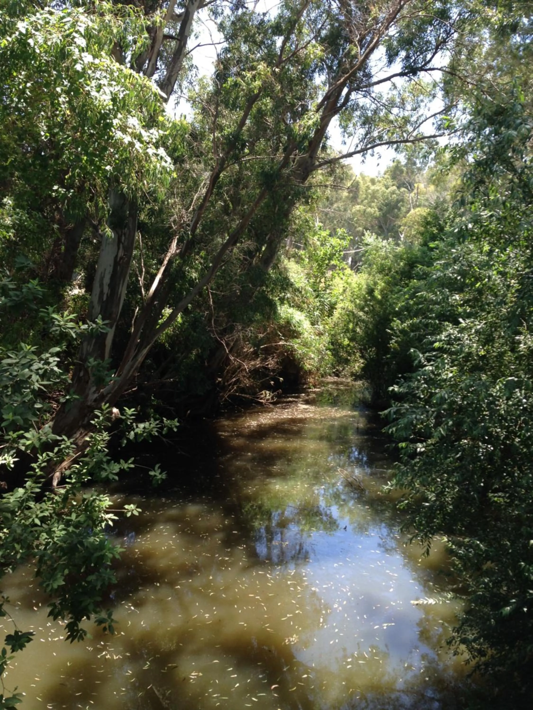 Natural landscape in Molino El Mastral