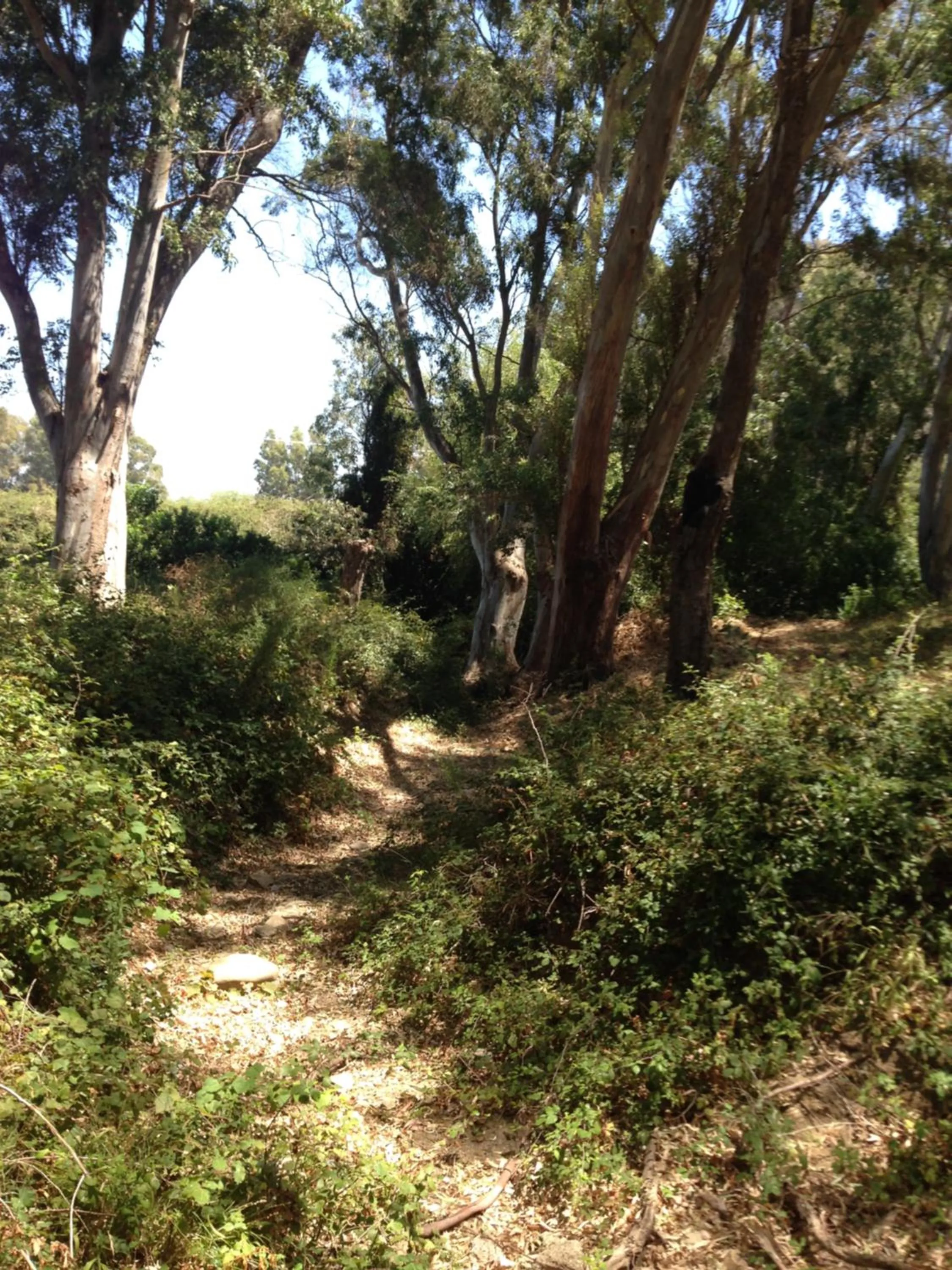 Natural landscape in Molino El Mastral