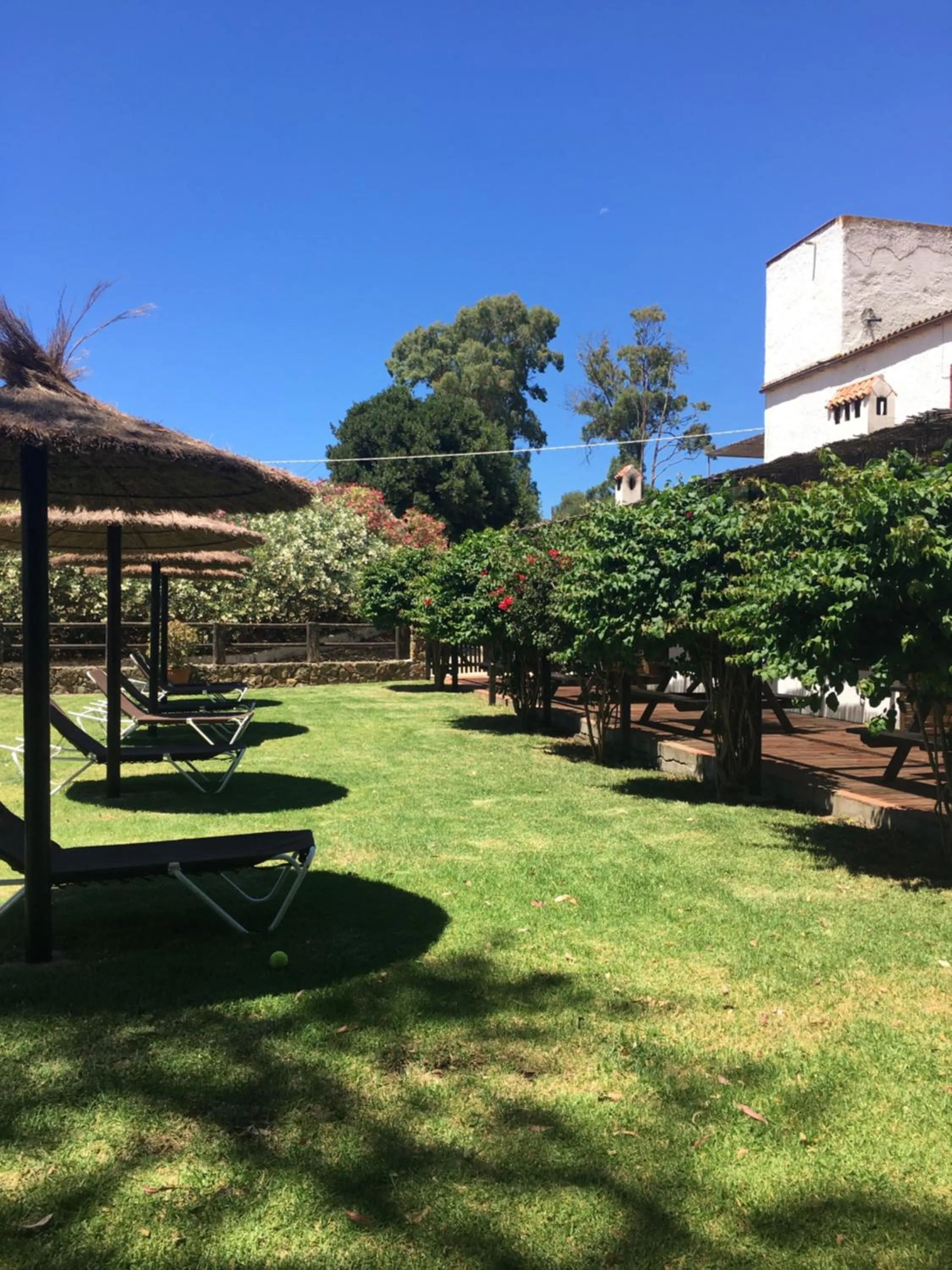 Natural landscape in Molino El Mastral
