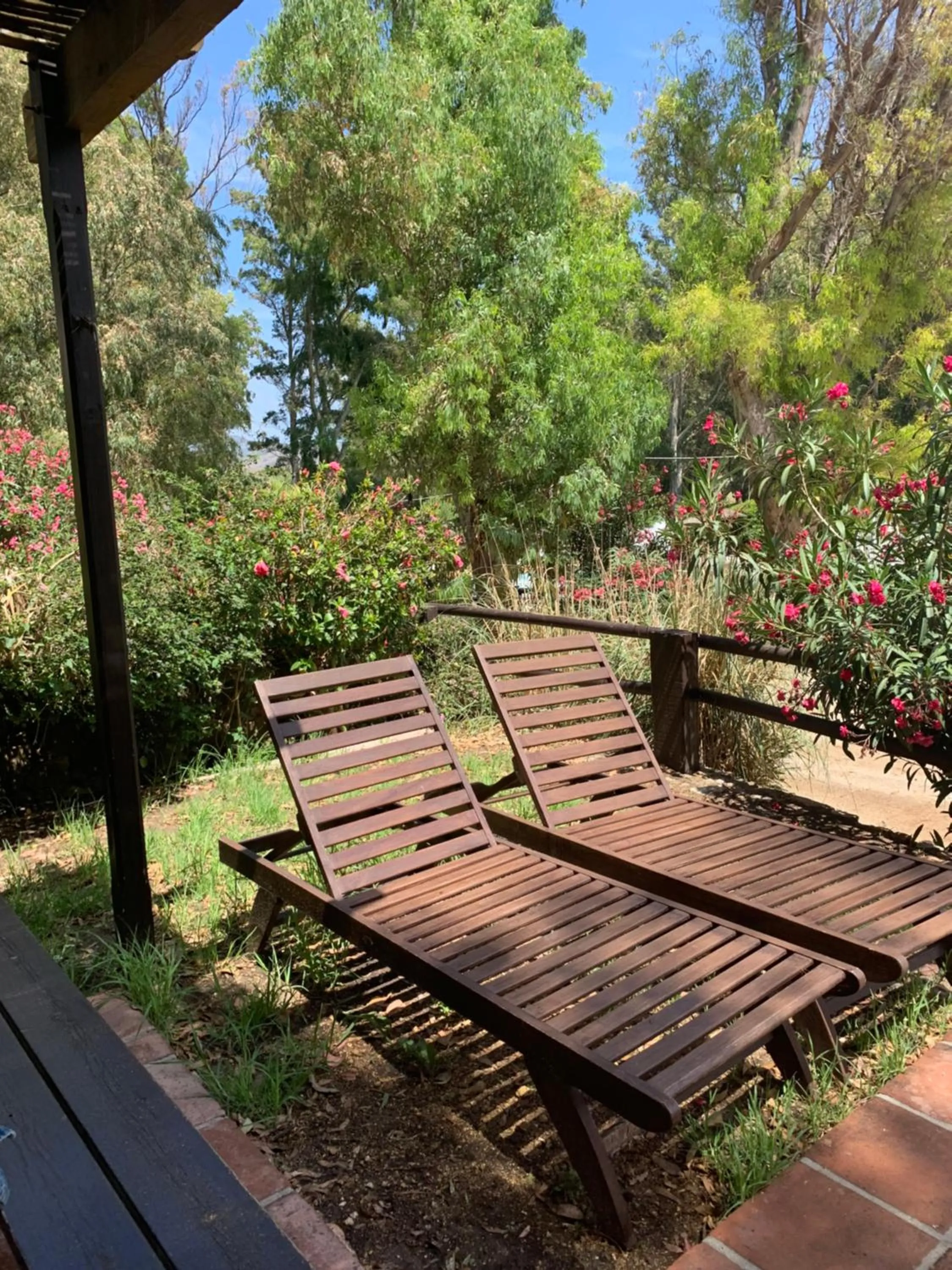 Garden in Molino El Mastral