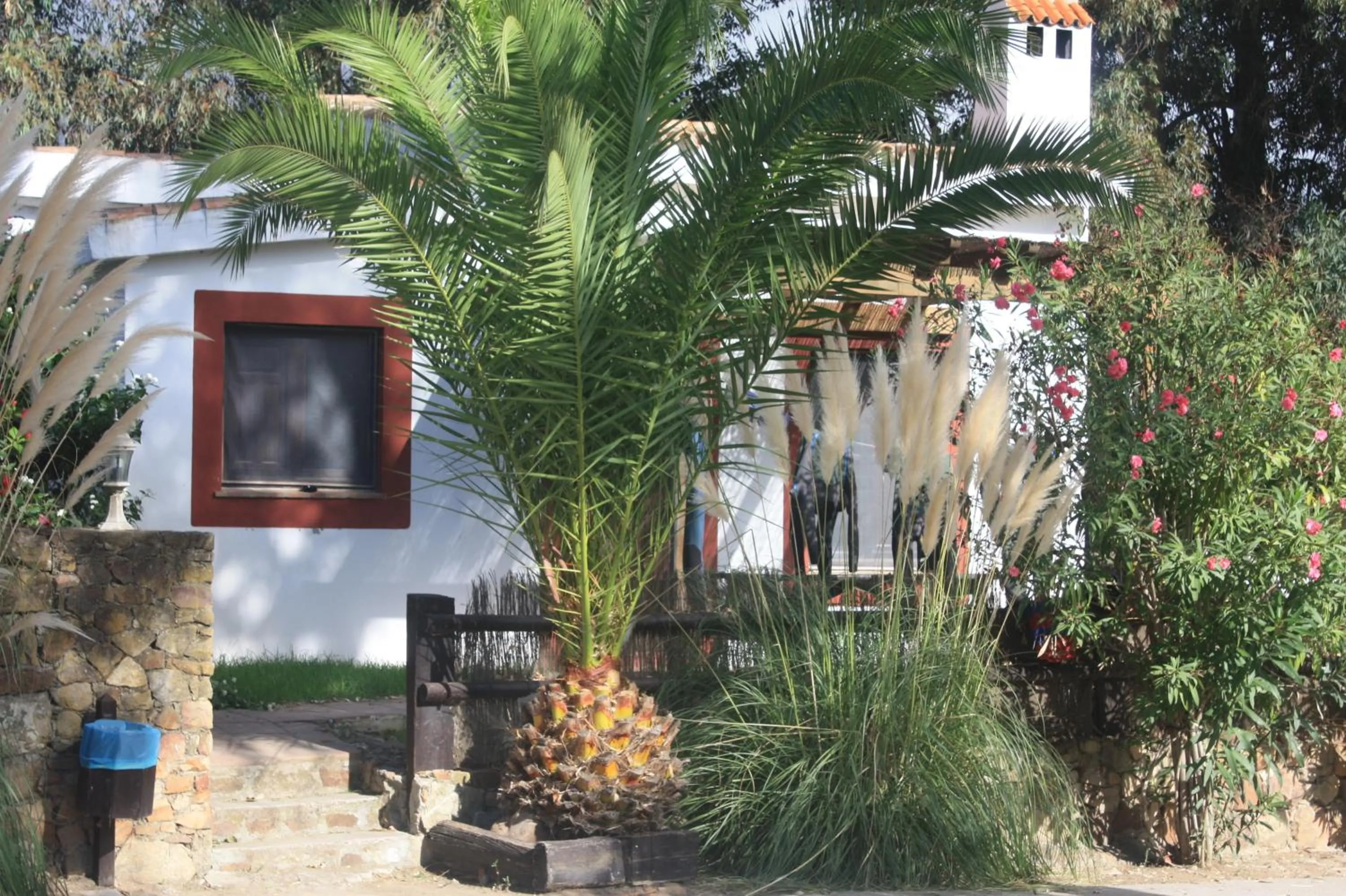 View (from property/room) in Molino El Mastral