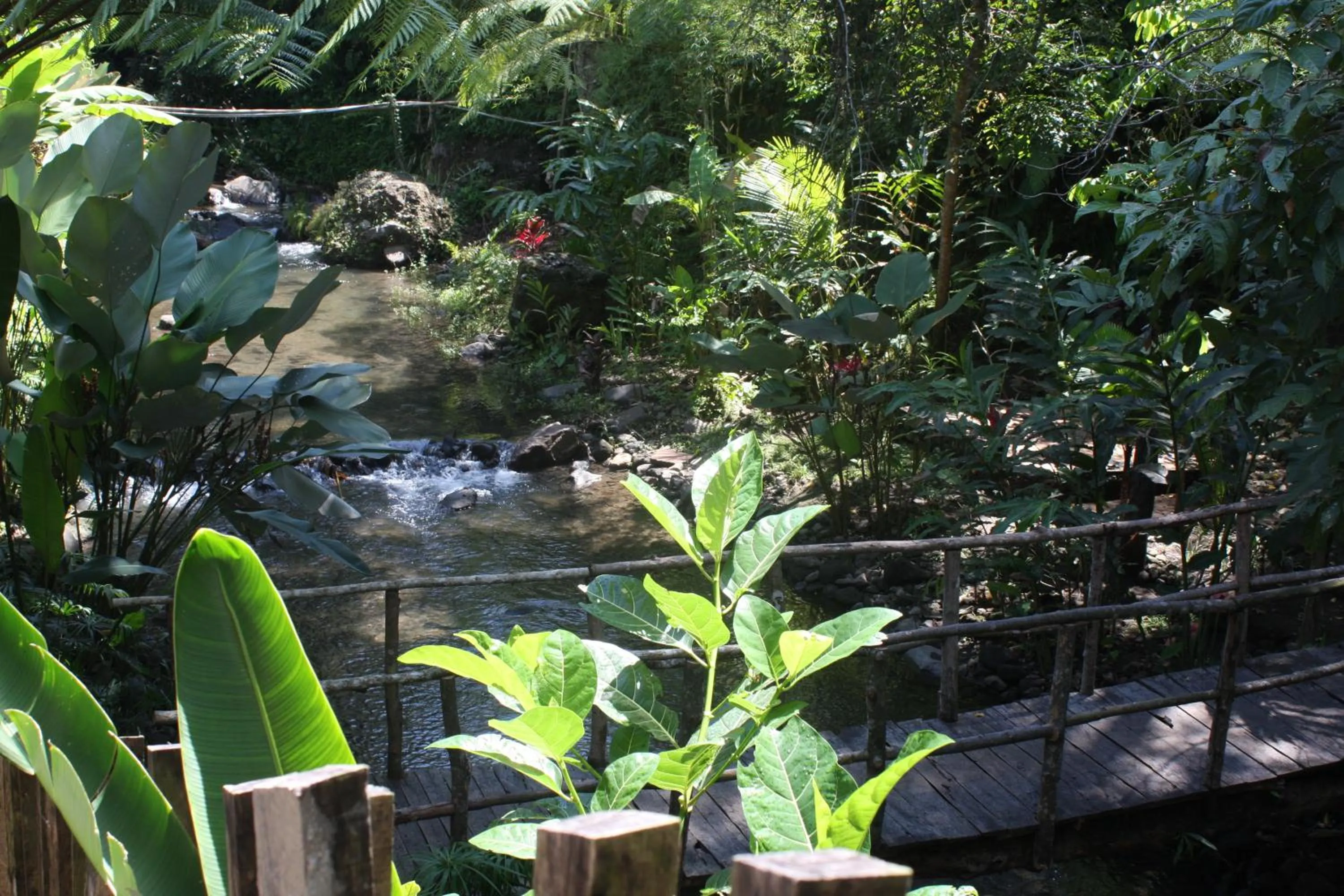 Bird's eye view in Joglo Plawang Villa & Resort