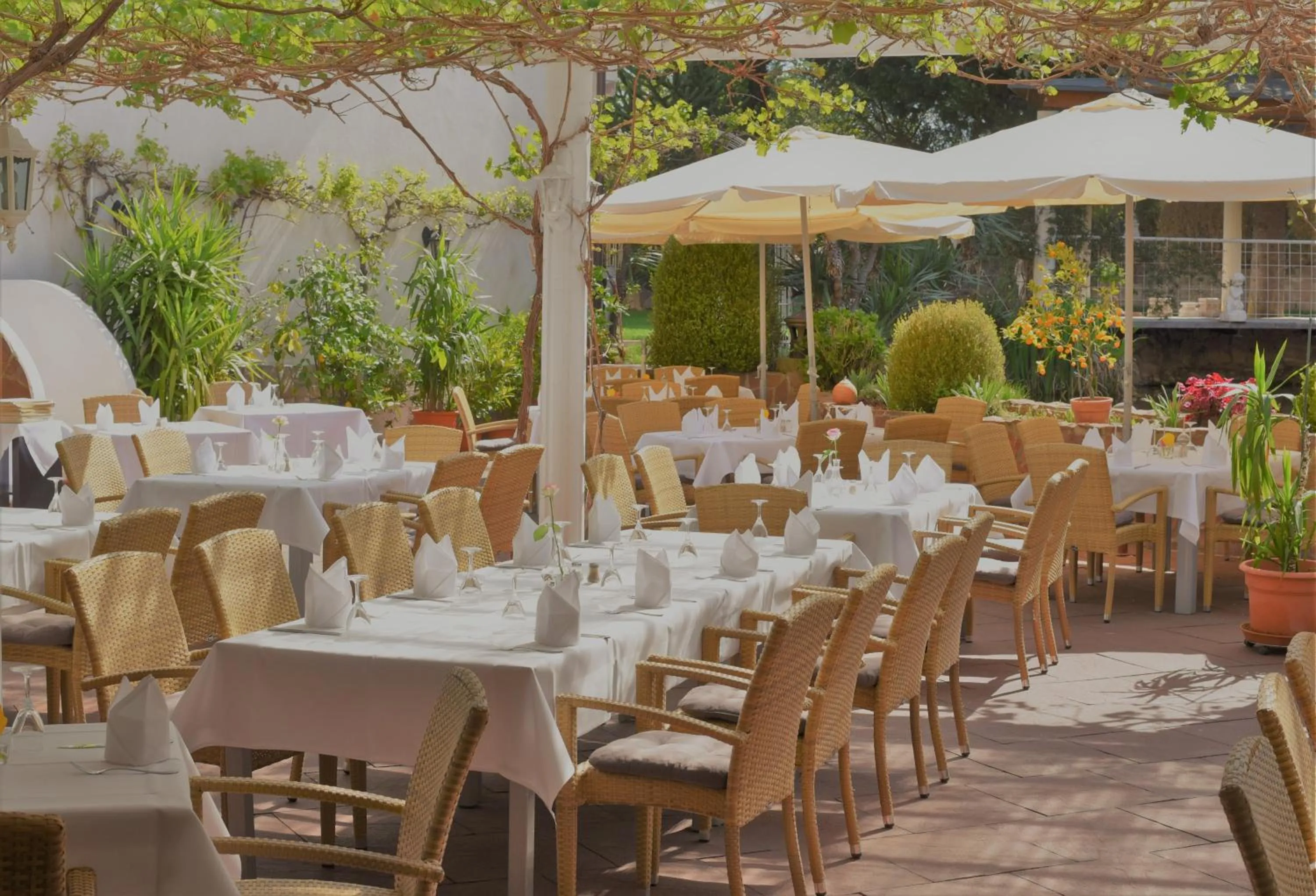 Patio in Winzergarten Hotel-Restaurant
