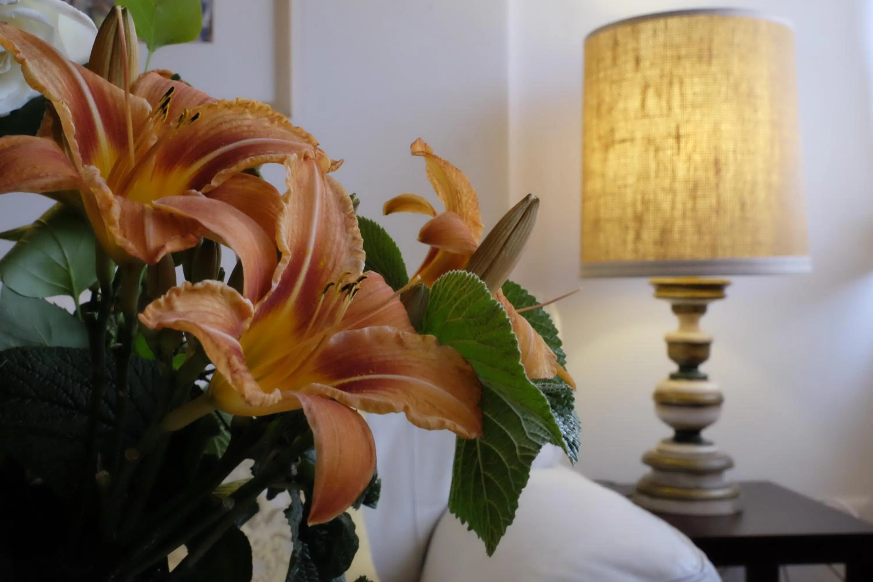 Residenza Bagni & Miramonti