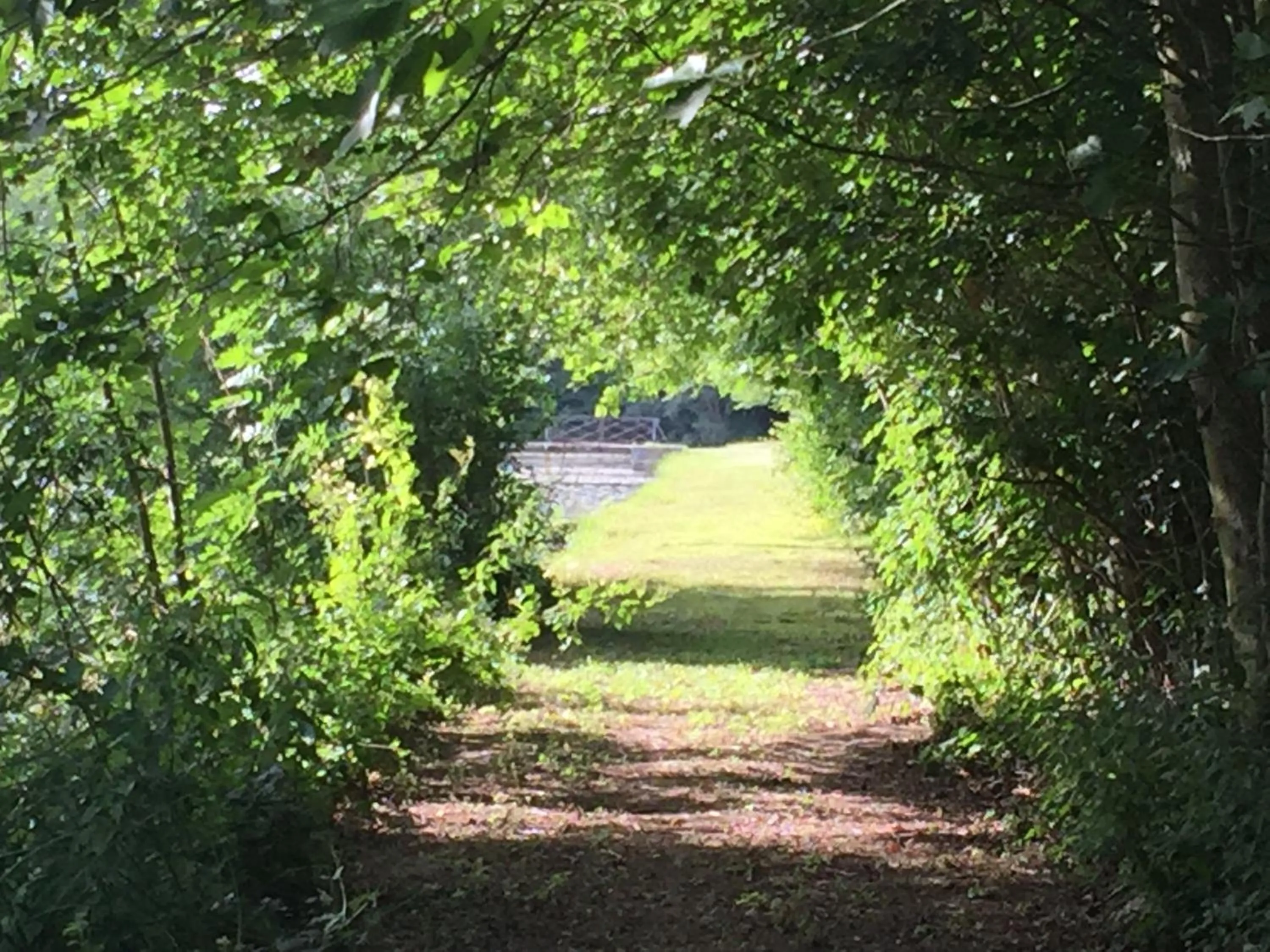 Château de Vitry-la-Ville