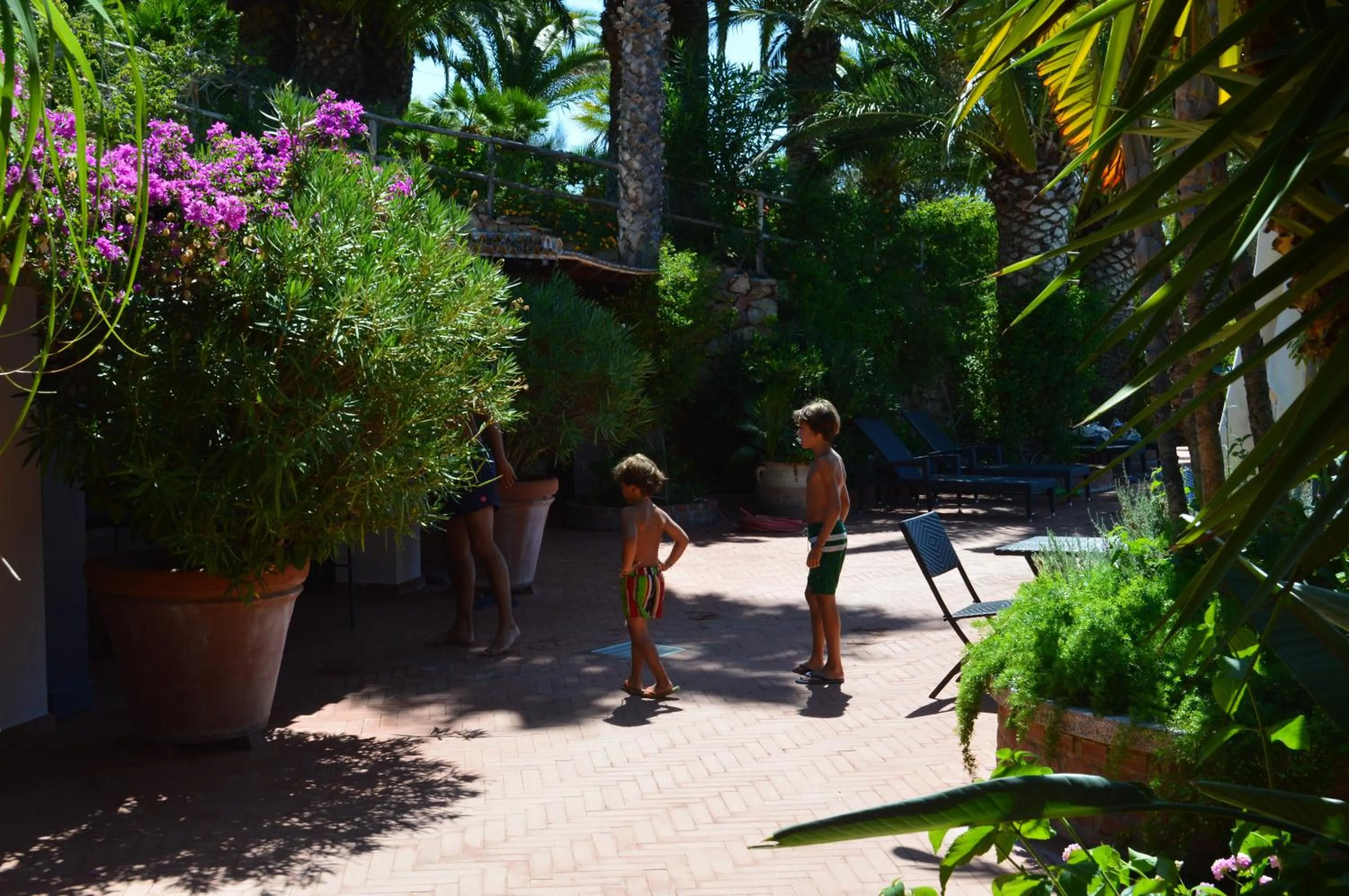 Patio in Residence Fenicia