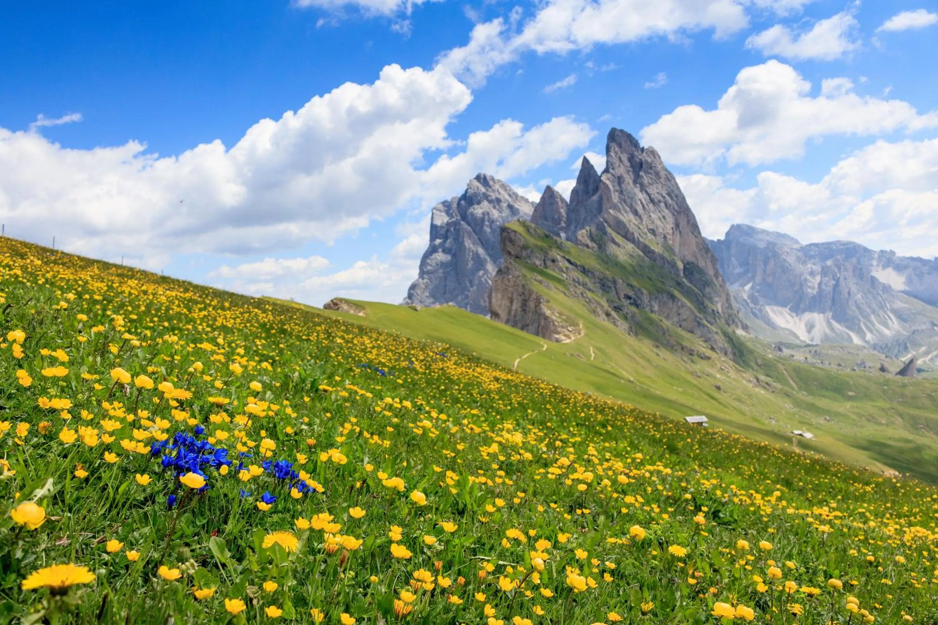 Natural landscape in Hotel Garni Snaltnerhof