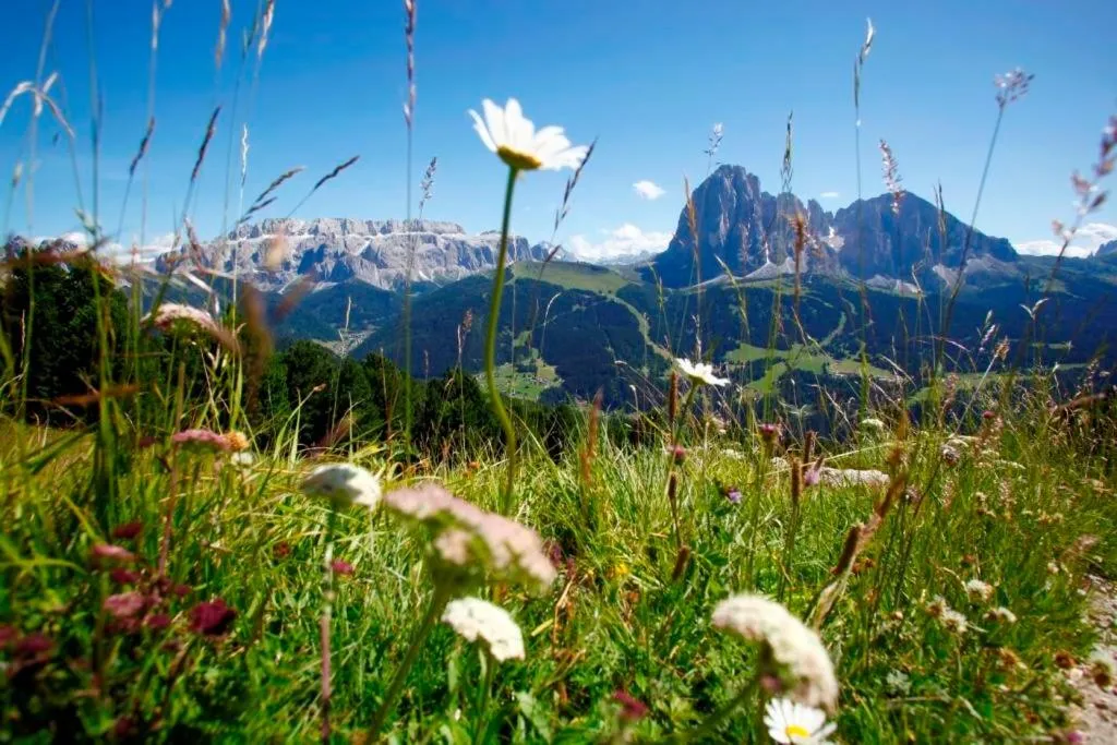 Summer in Garni Hotel Bel Vert