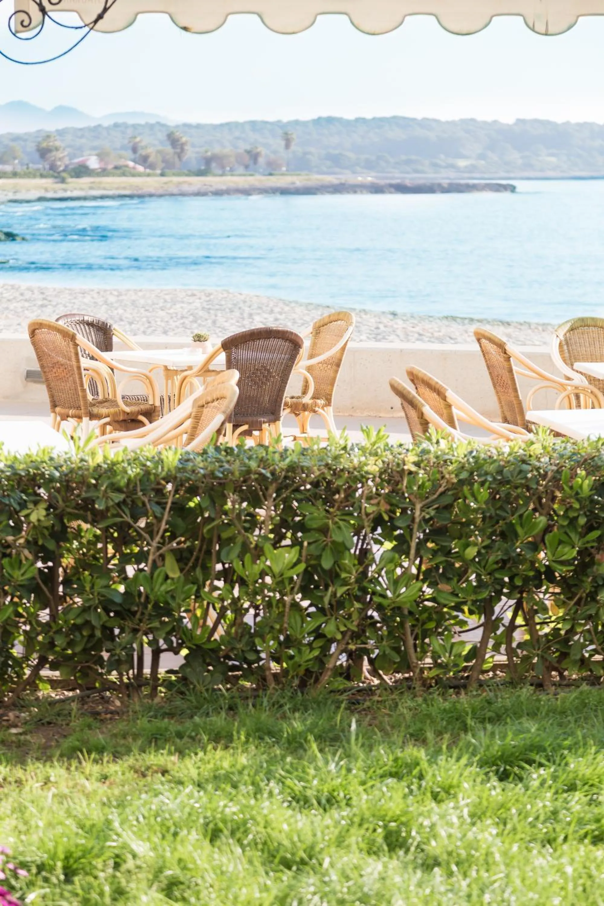 Balcony/Terrace in Hotel Club S'Illot