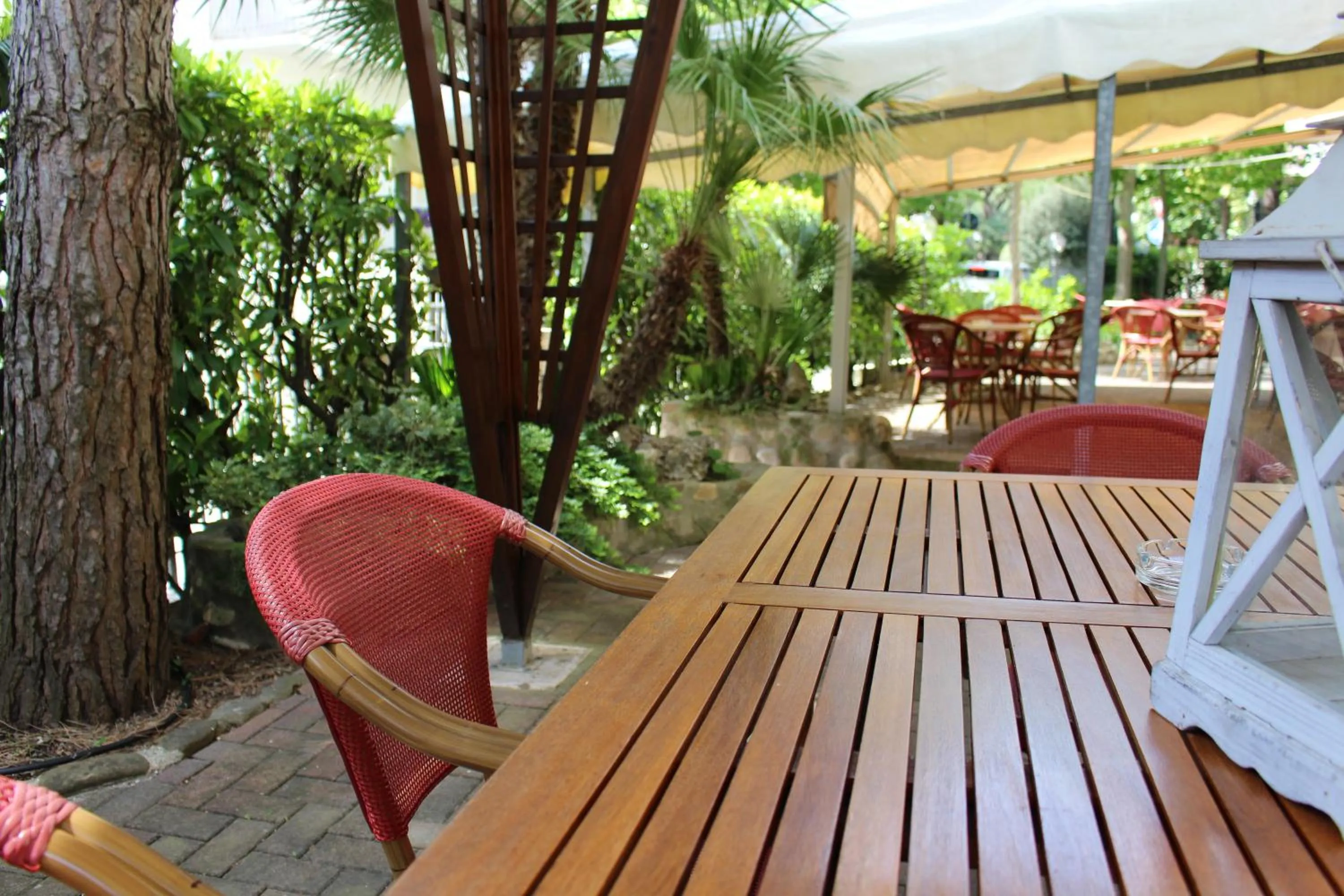 Patio in Hotel Corallo