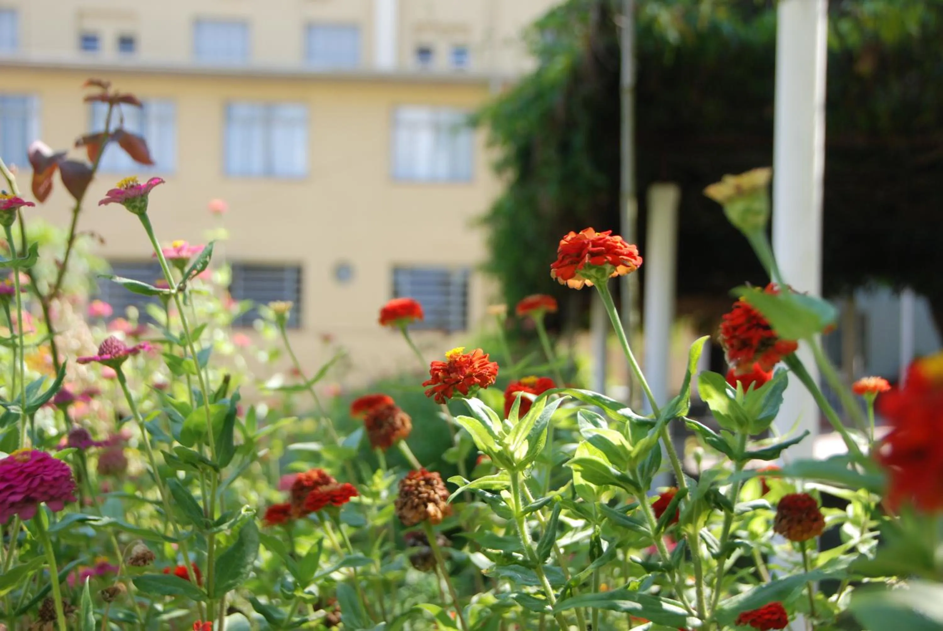 Garden in Hotel Pousada São Lourenço