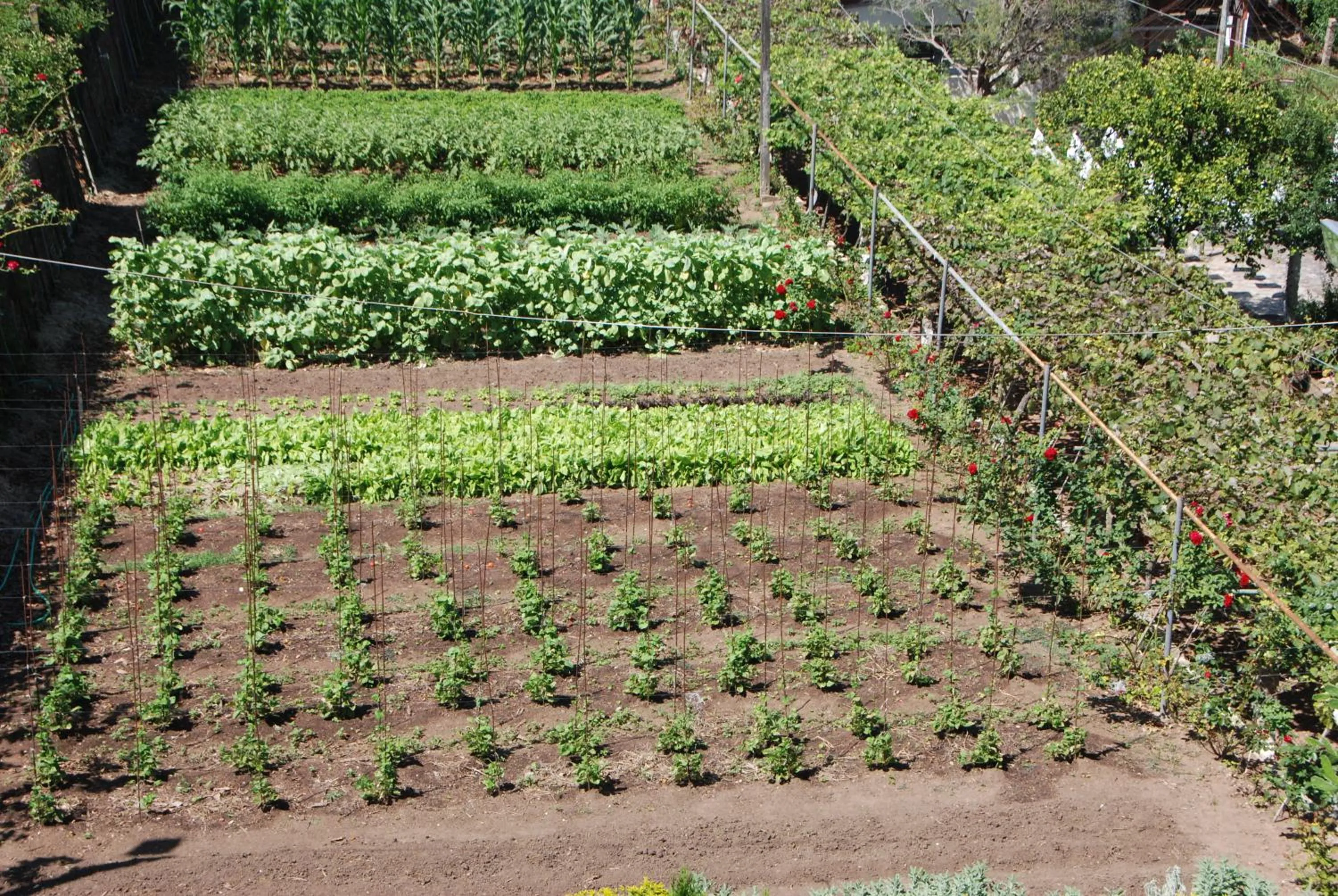Garden in Hotel Pousada São Lourenço