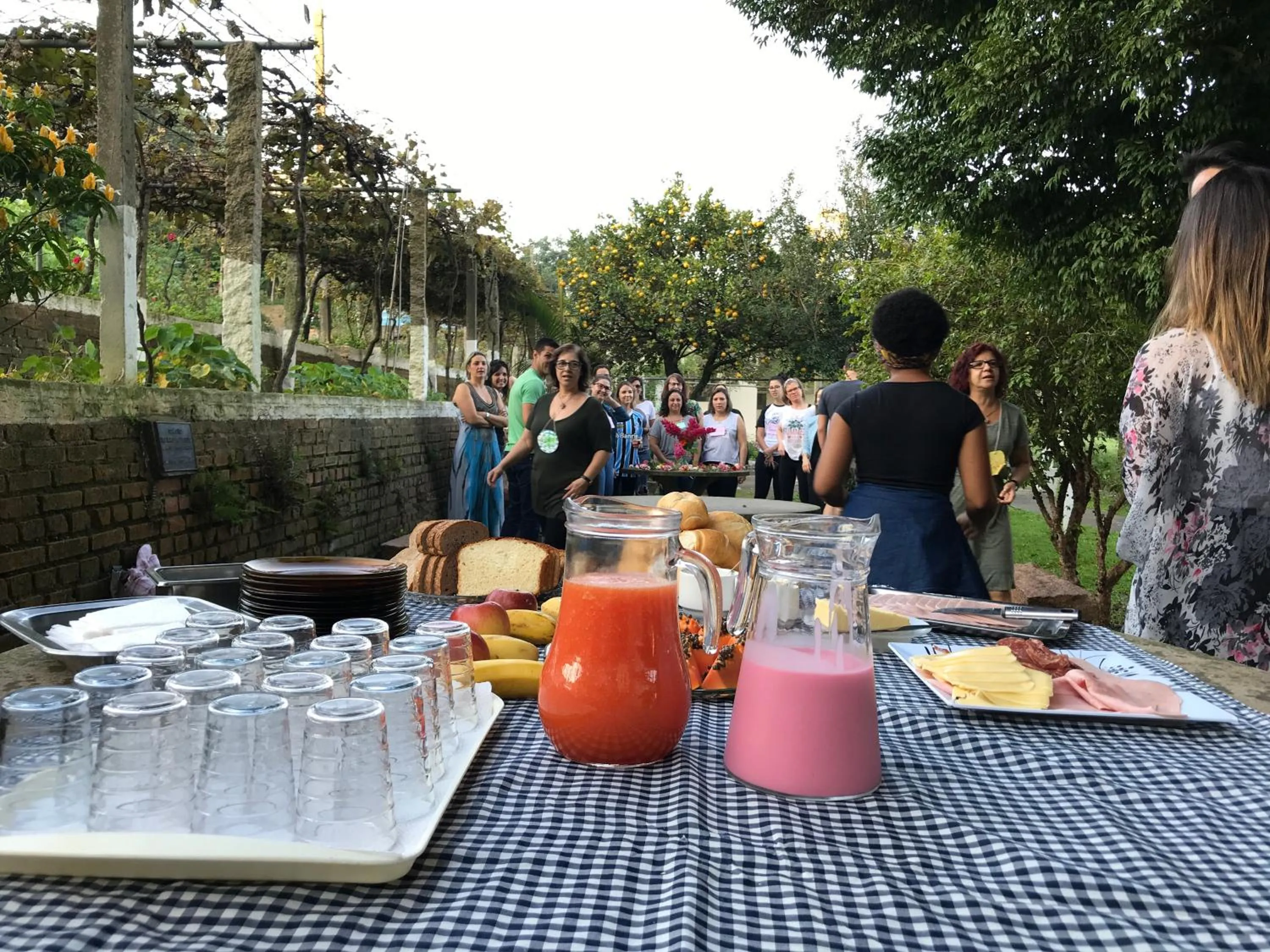 Food and drinks in Hotel Pousada São Lourenço