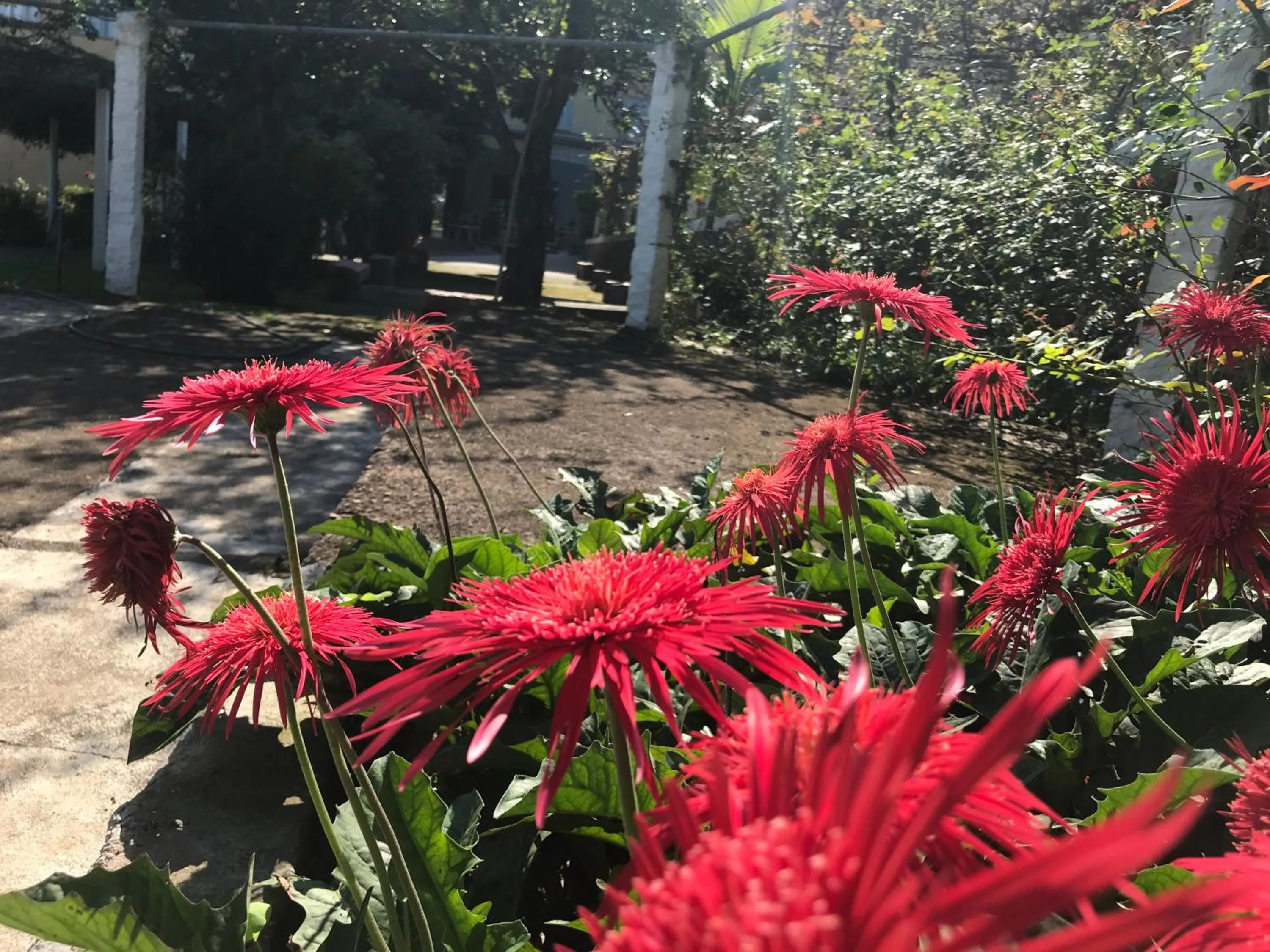 Spring in Hotel Pousada São Lourenço