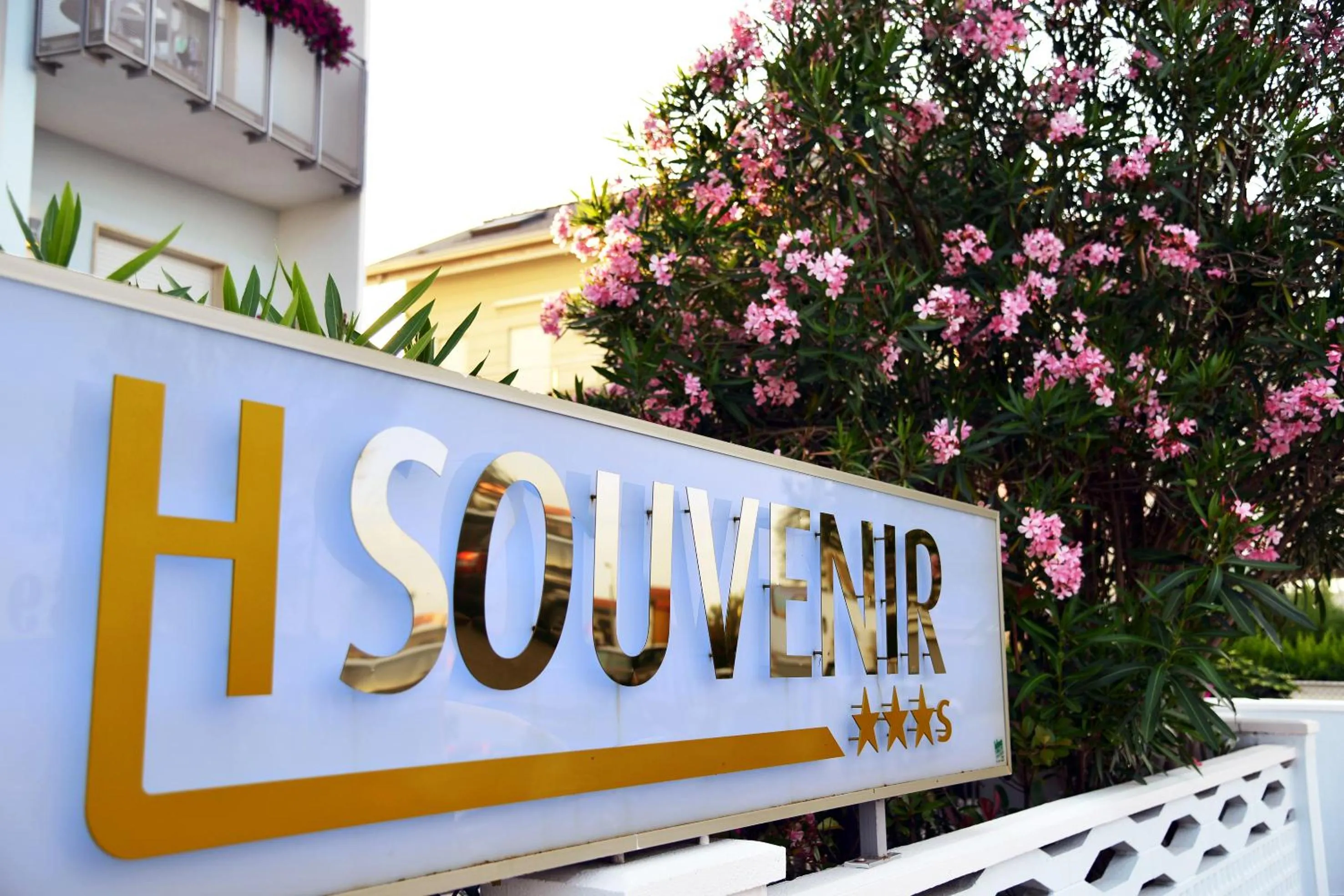 Property logo or sign in Hotel Souvenir - Koolibry Hotels